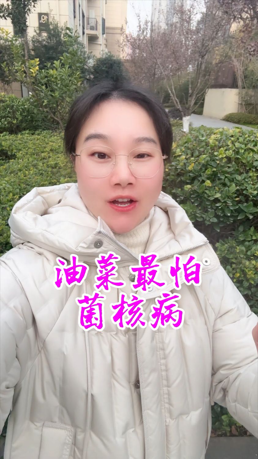 油菜菌核病怎么防治