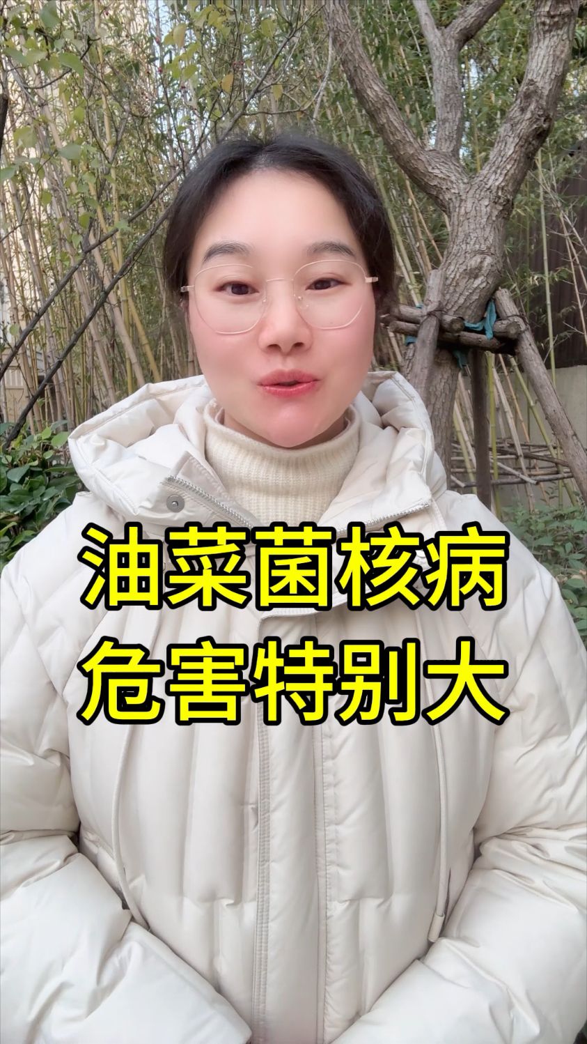 油菜菌核病怎么防治