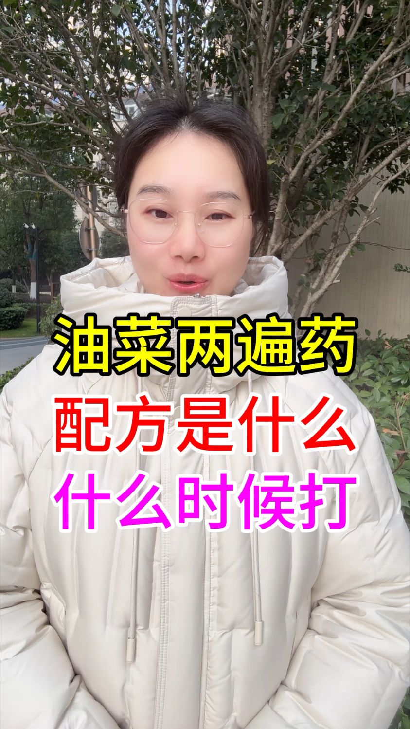 油菜病虫害如何防治,油菜菌核病怎么防治