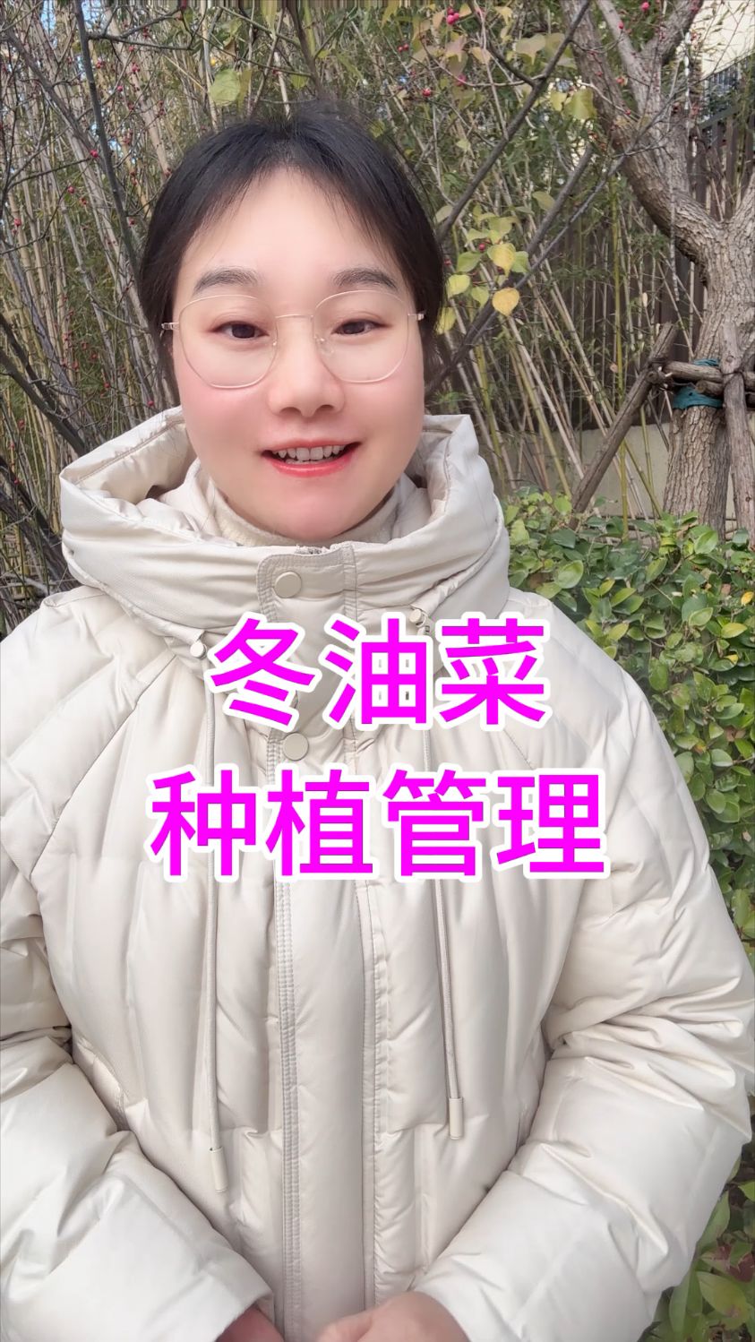 种植冬油菜如何防治病虫害,冬油菜高产管理技术