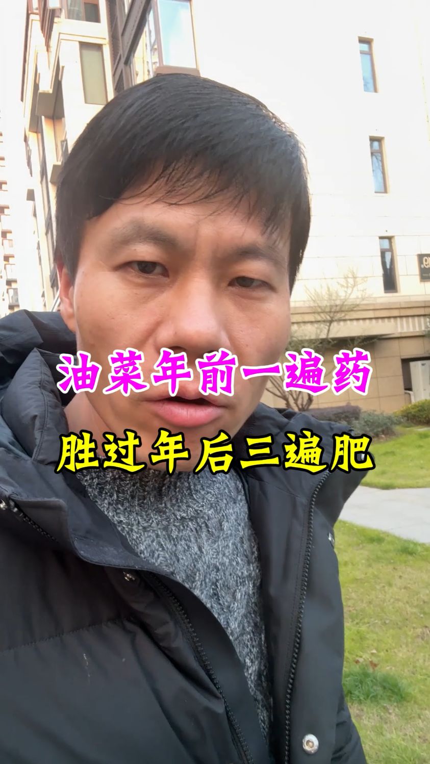油菜菌核病怎么防治,油菜高产管理技术