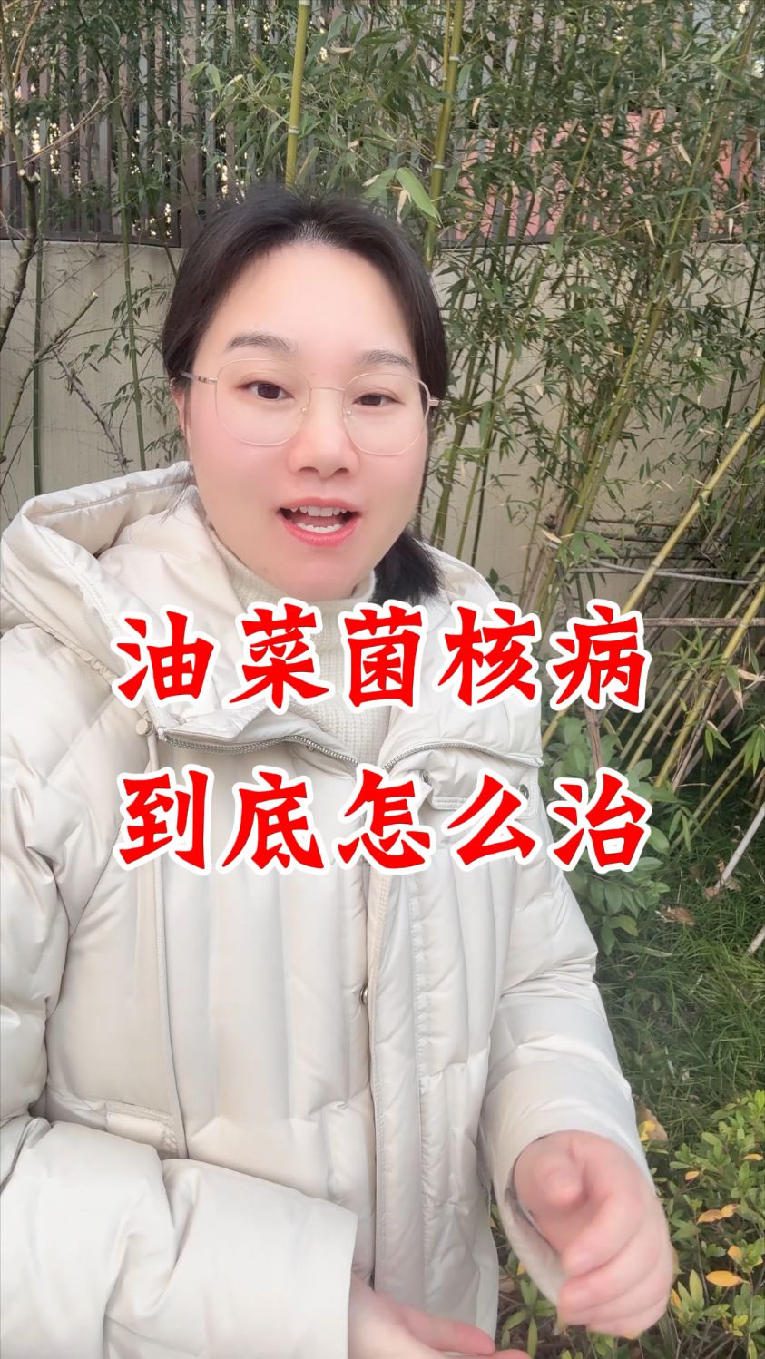 油菜病虫害怎么防治，油菜菌核病打什么药