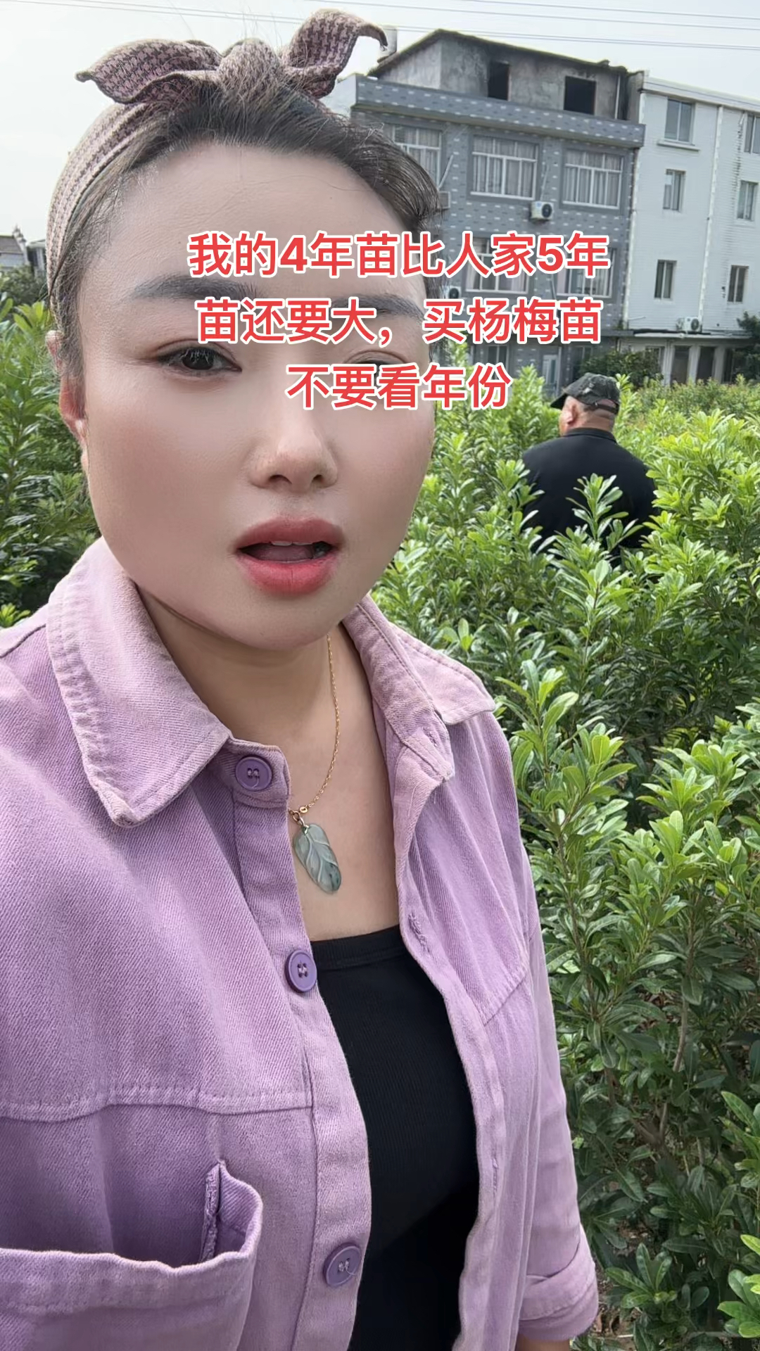 正宗仙居东魁杨梅苗基地,现挖现发
