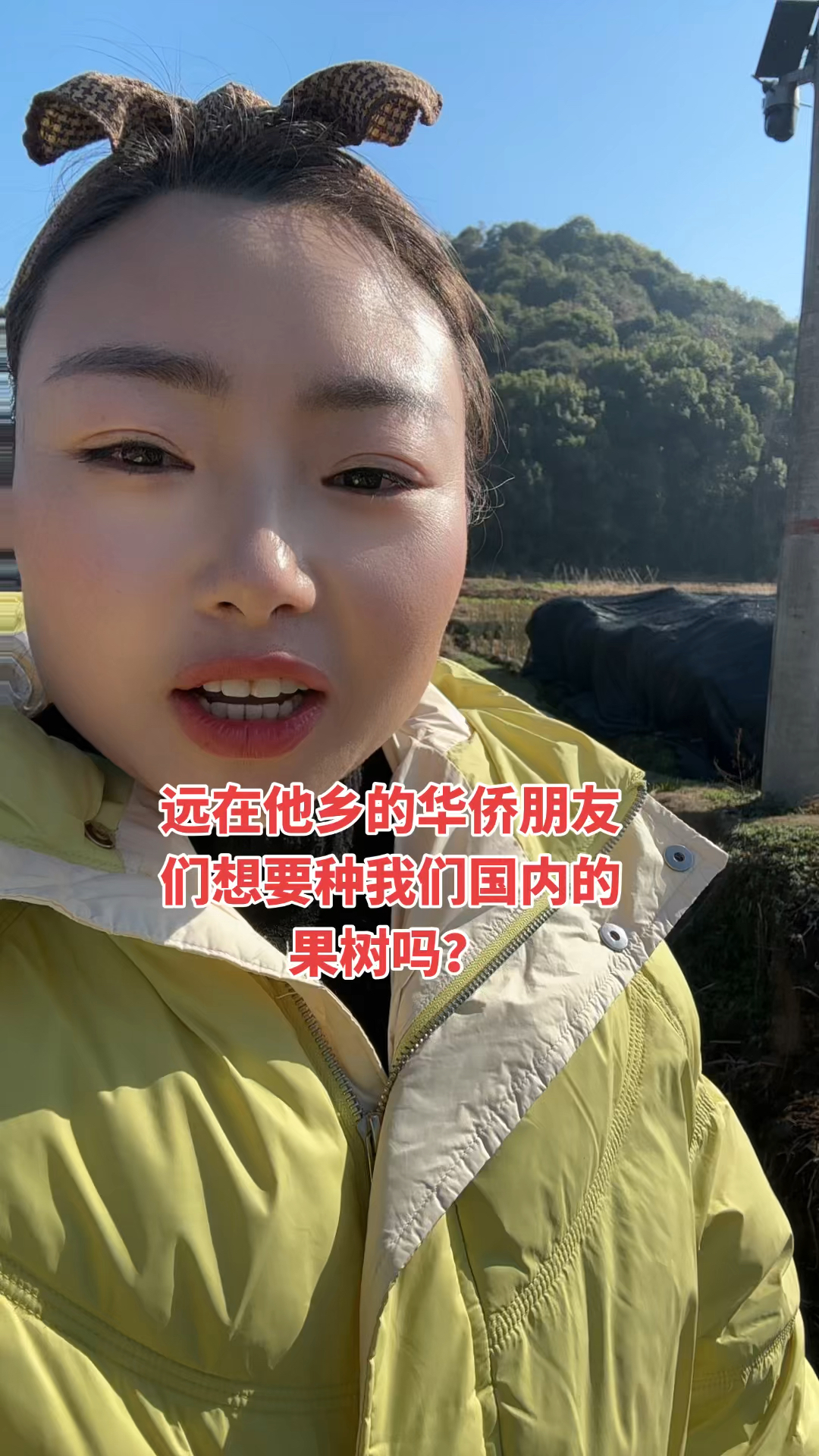 要果树苗的朋友过来看看,我们家啥品种都要有果苗苗木基地
