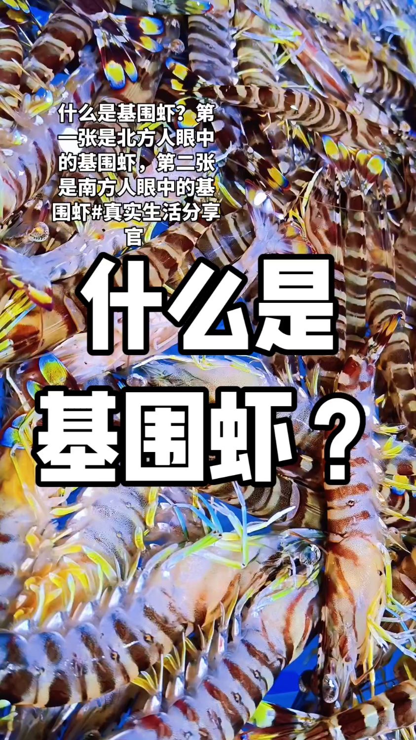 什么是基围虾?第一张是北方人的基围虾,第二张是南方人的基围虾