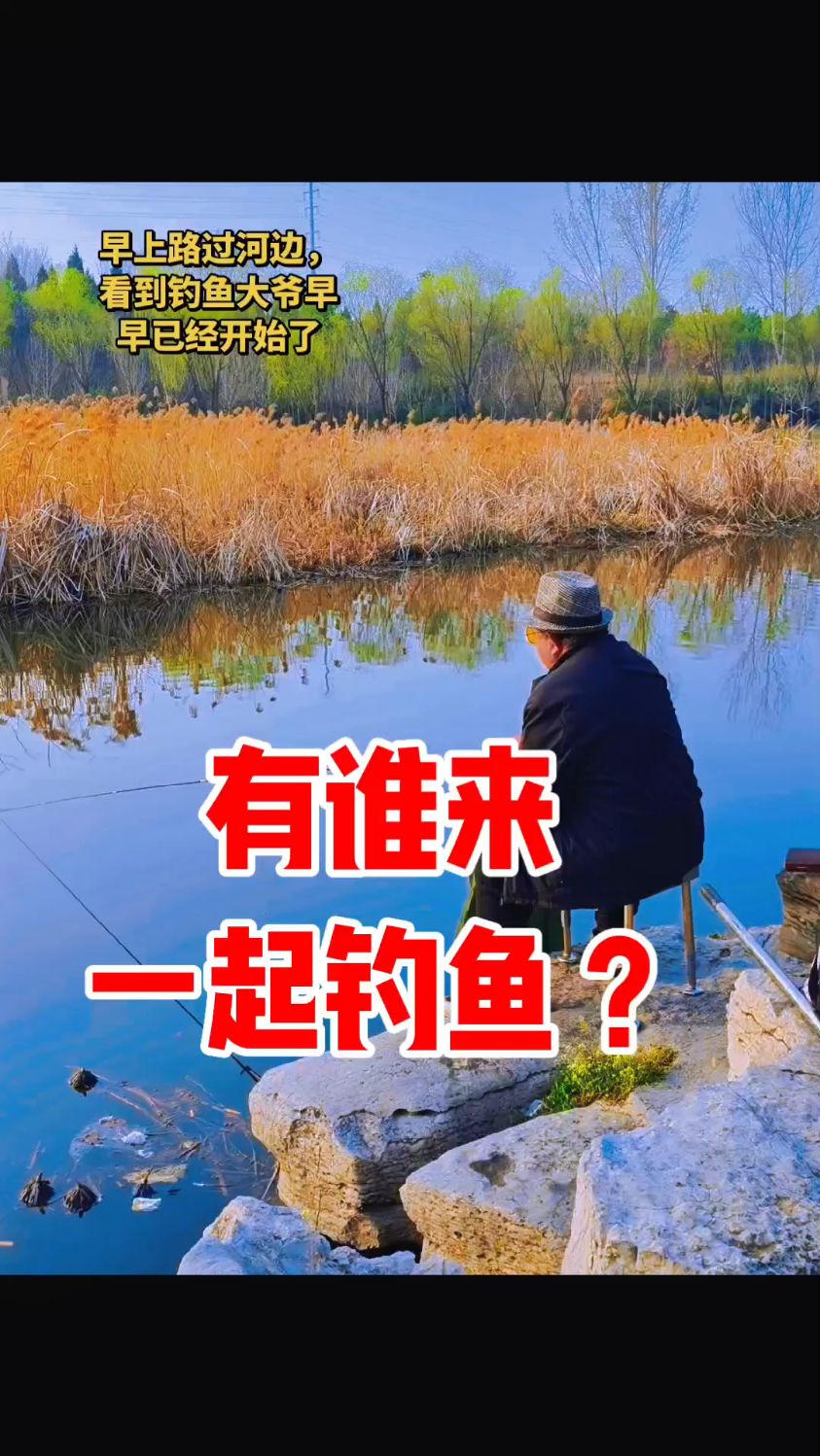 #有谁来一起钓鱼 #真实户外 #钓鱼人的技术活 早起的钓鱼大爷