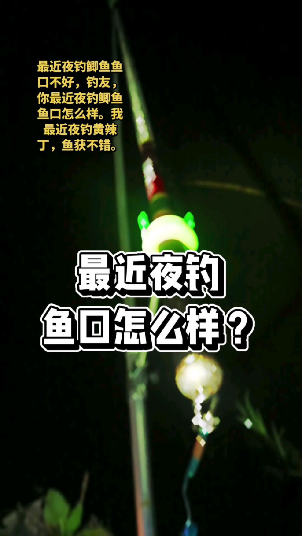 最近夜钓鱼口怎么样？我最近夜钓黄辣丁鱼获不错#真实生活分享计划