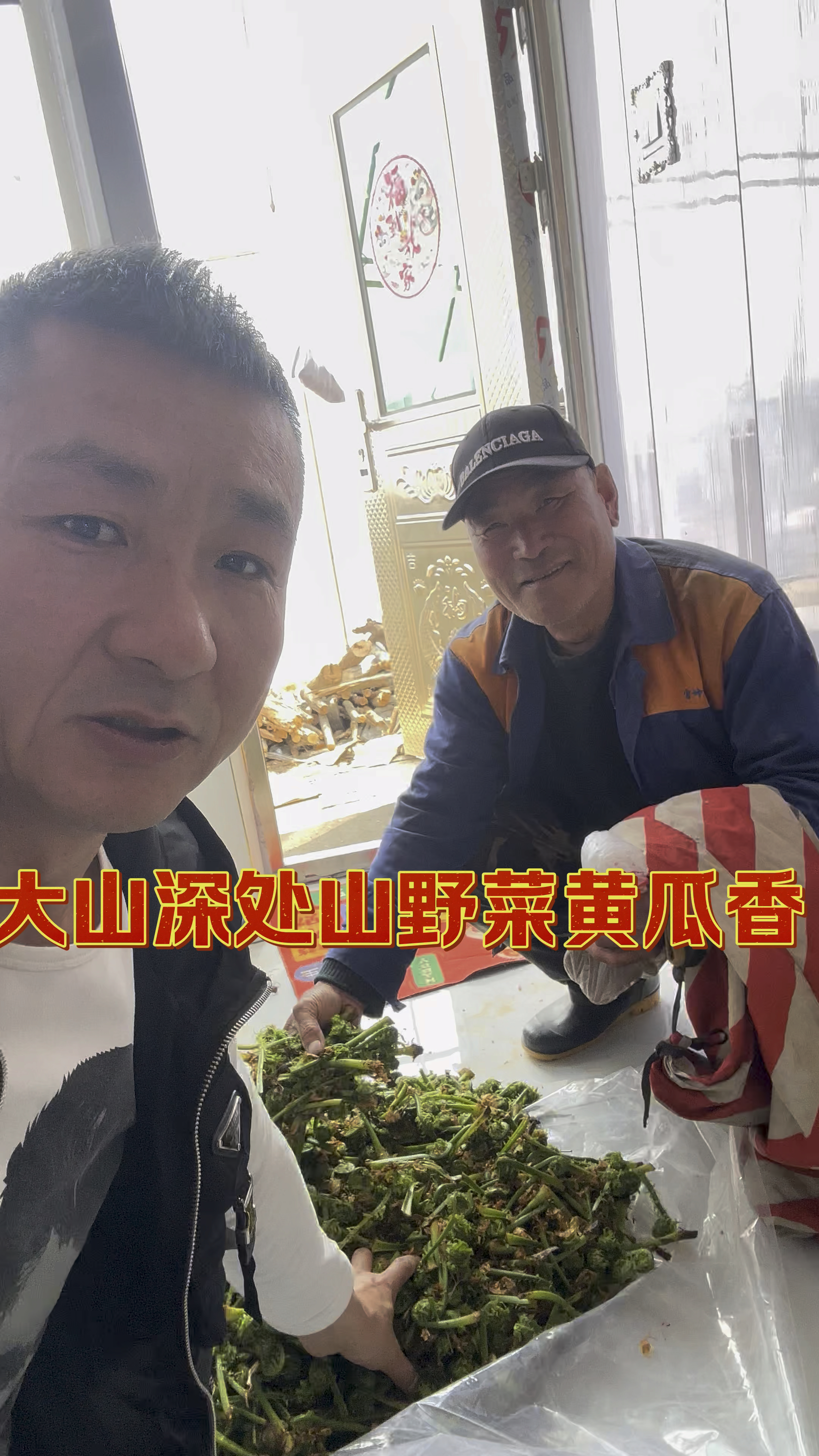 邻居鞠叔从大山里採的山野菜黄瓜香,它也叫广东菜。