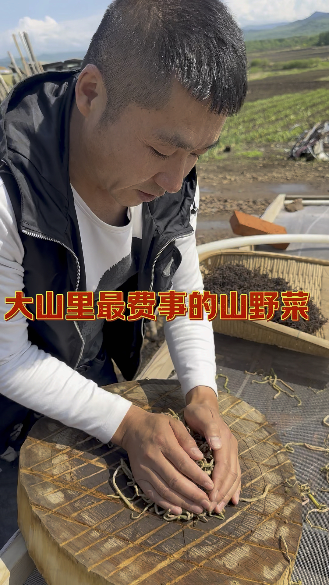 大山里最费事的山野菜微菜也叫牛毛广。