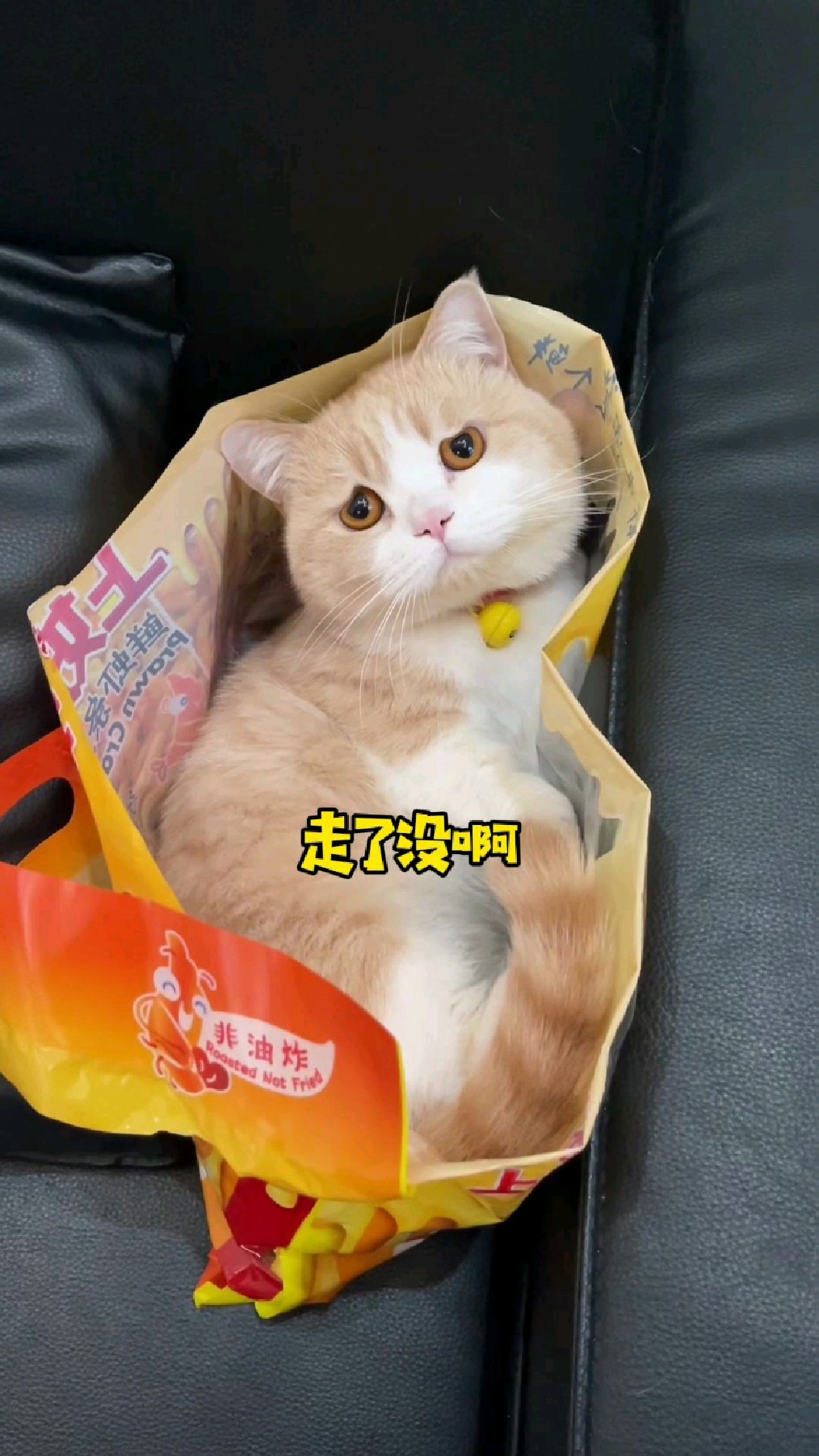 薅到正版咪咪虾条了!
