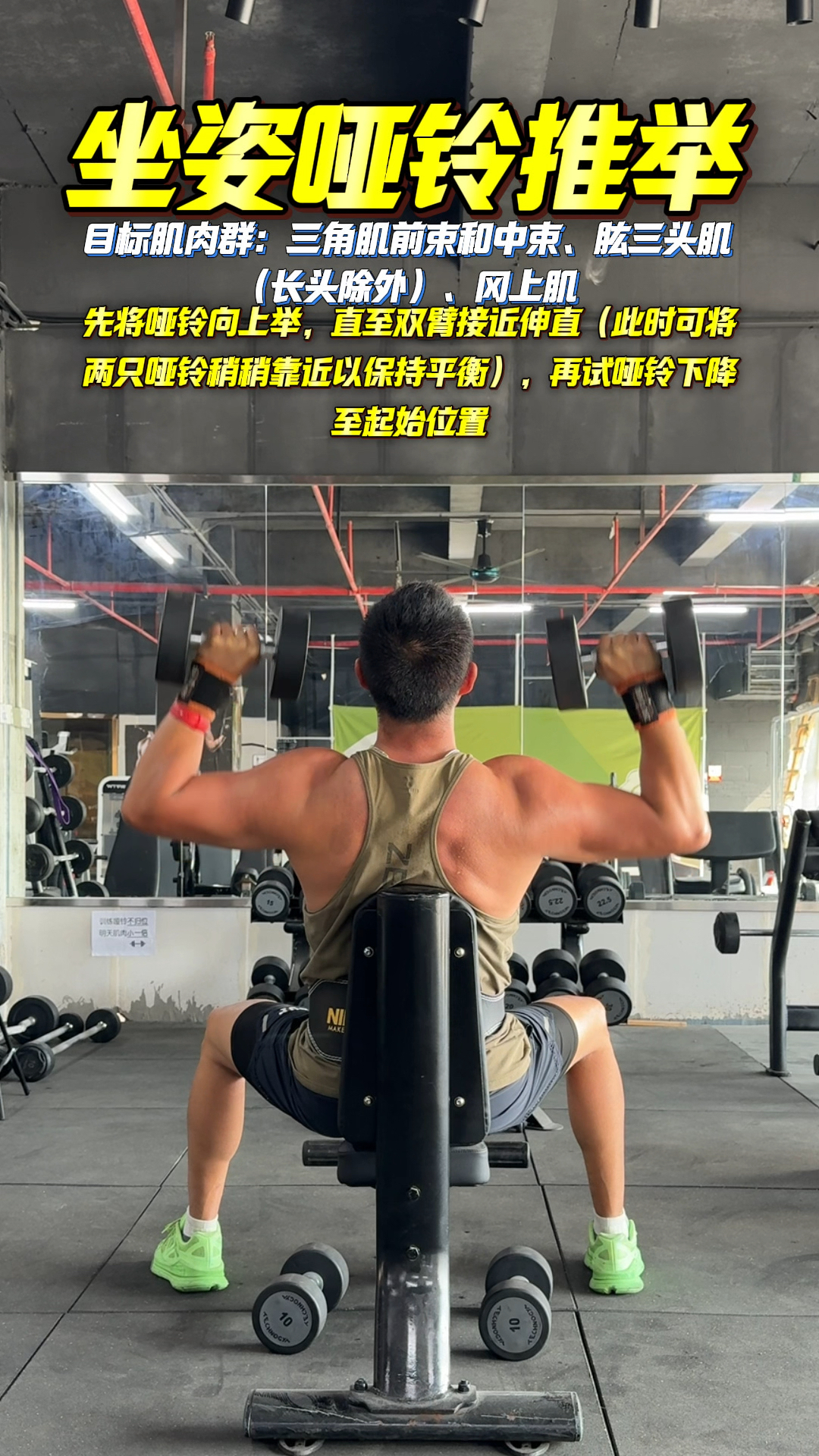 哑铃坐姿推举，训练整体肩部三角肌，腰背更好的固定，居家也能练