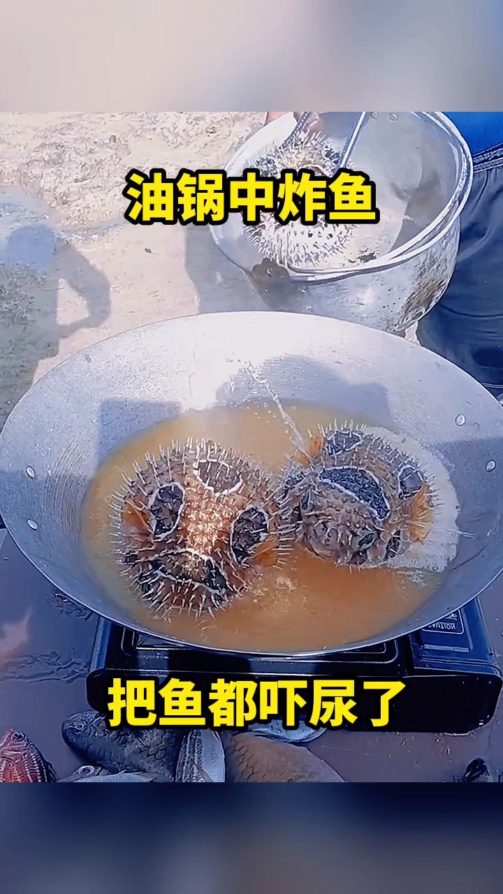 油锅中炸鱼,把鱼都吓尿了!