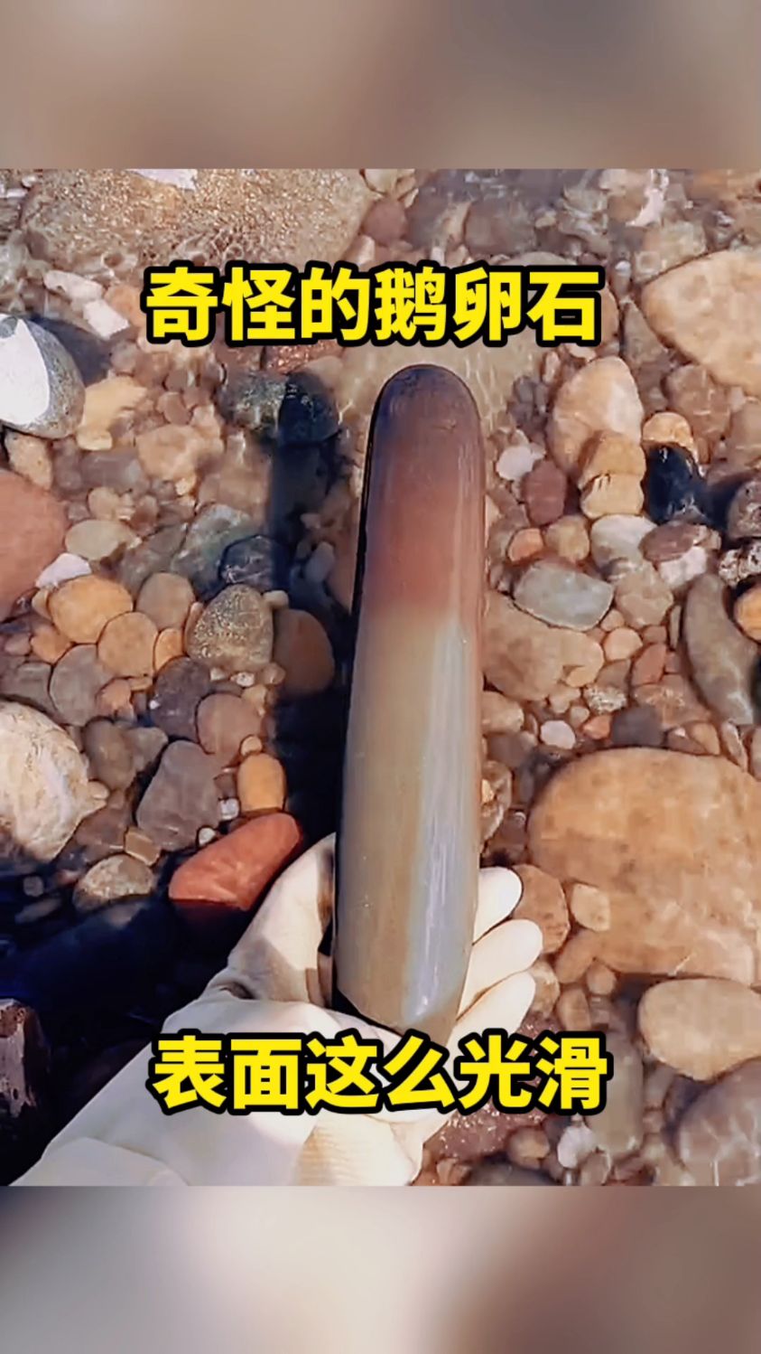 奇怪的鹅卵石,表面这么光滑。