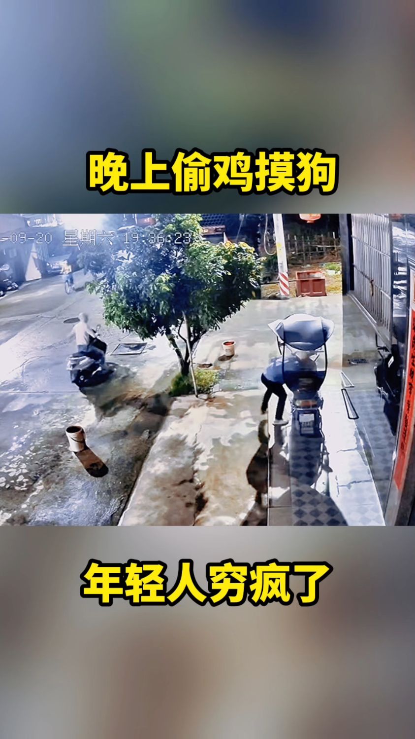 晚上偷鸡摸狗,年轻人穷疯了。