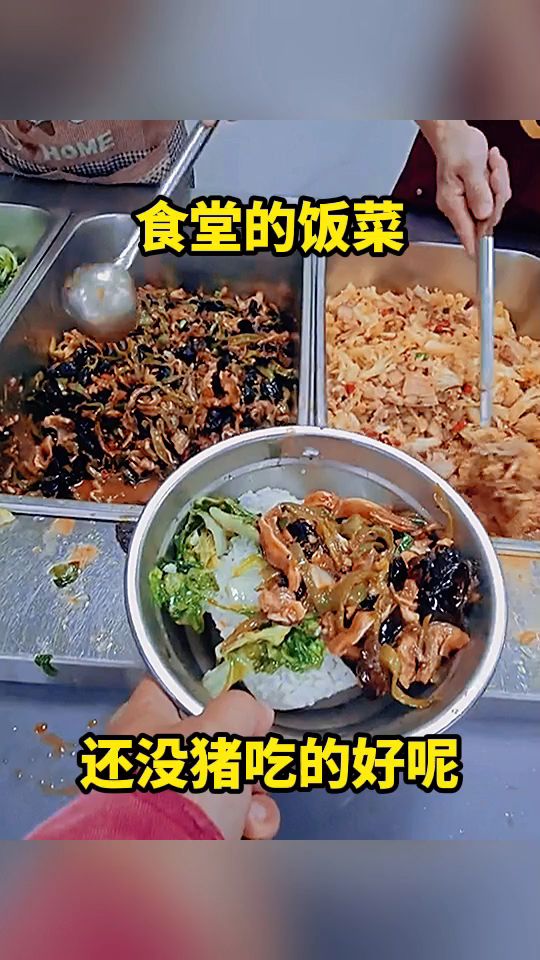 食堂的饭菜，还没猪吃的好呢！