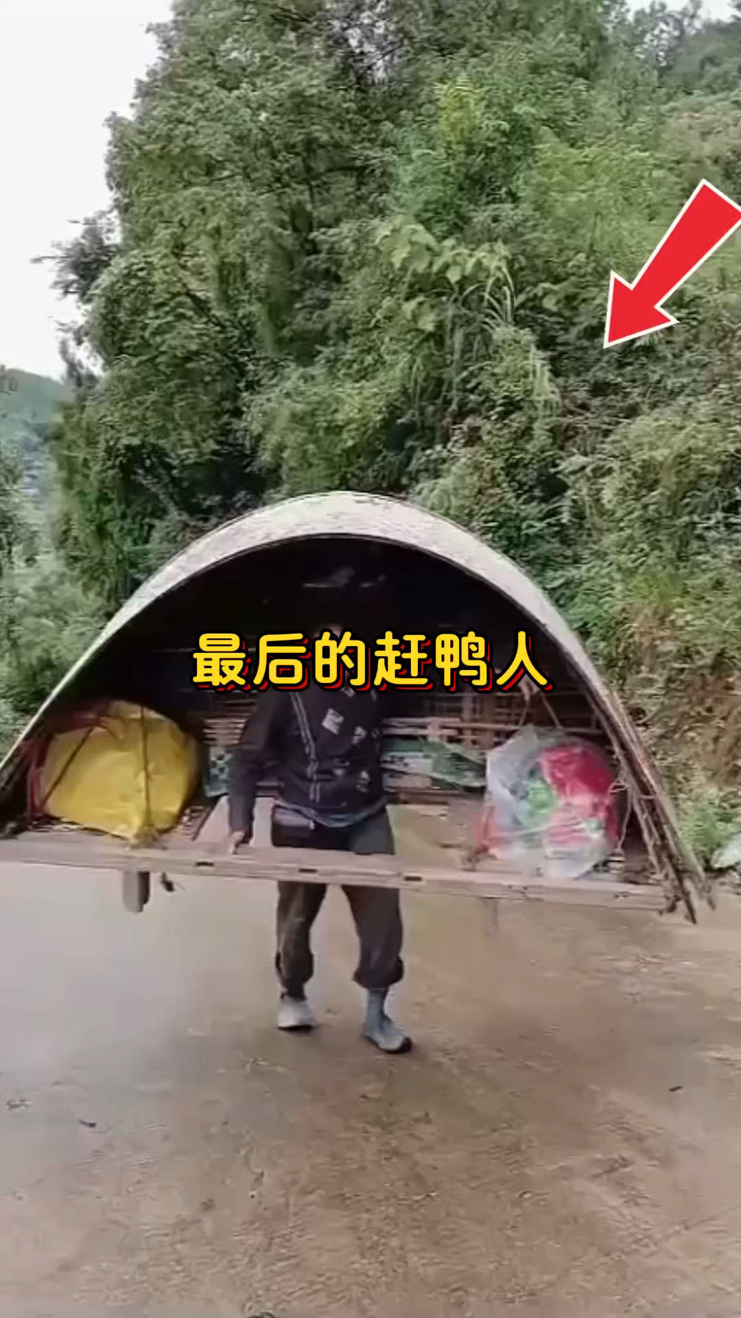 最后的赶鸭人你见过吗