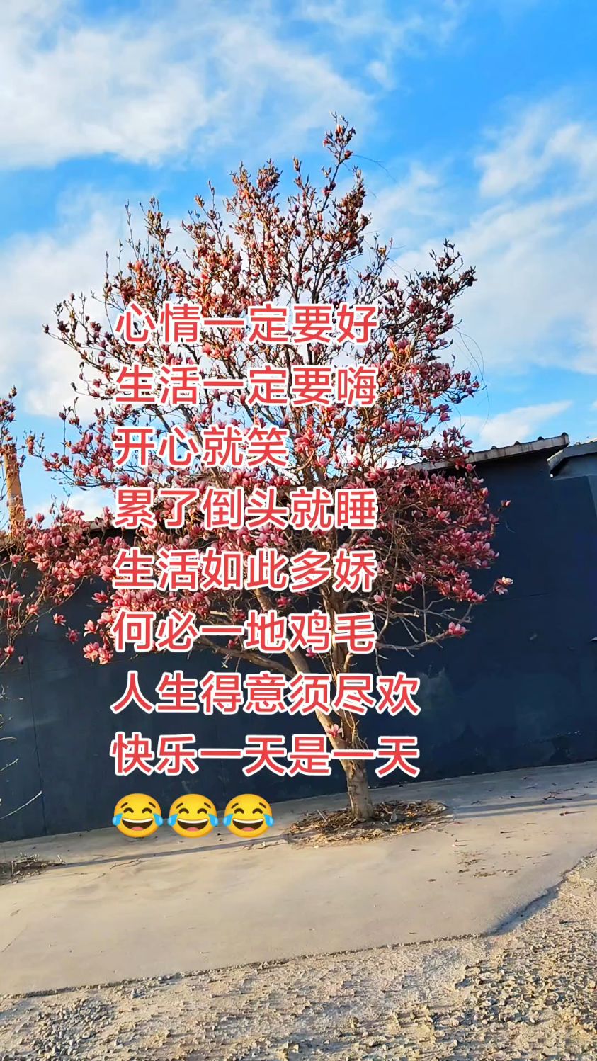 心情一定要好,生活一定要嗨。生活如此多娇,何必一地鸡毛。