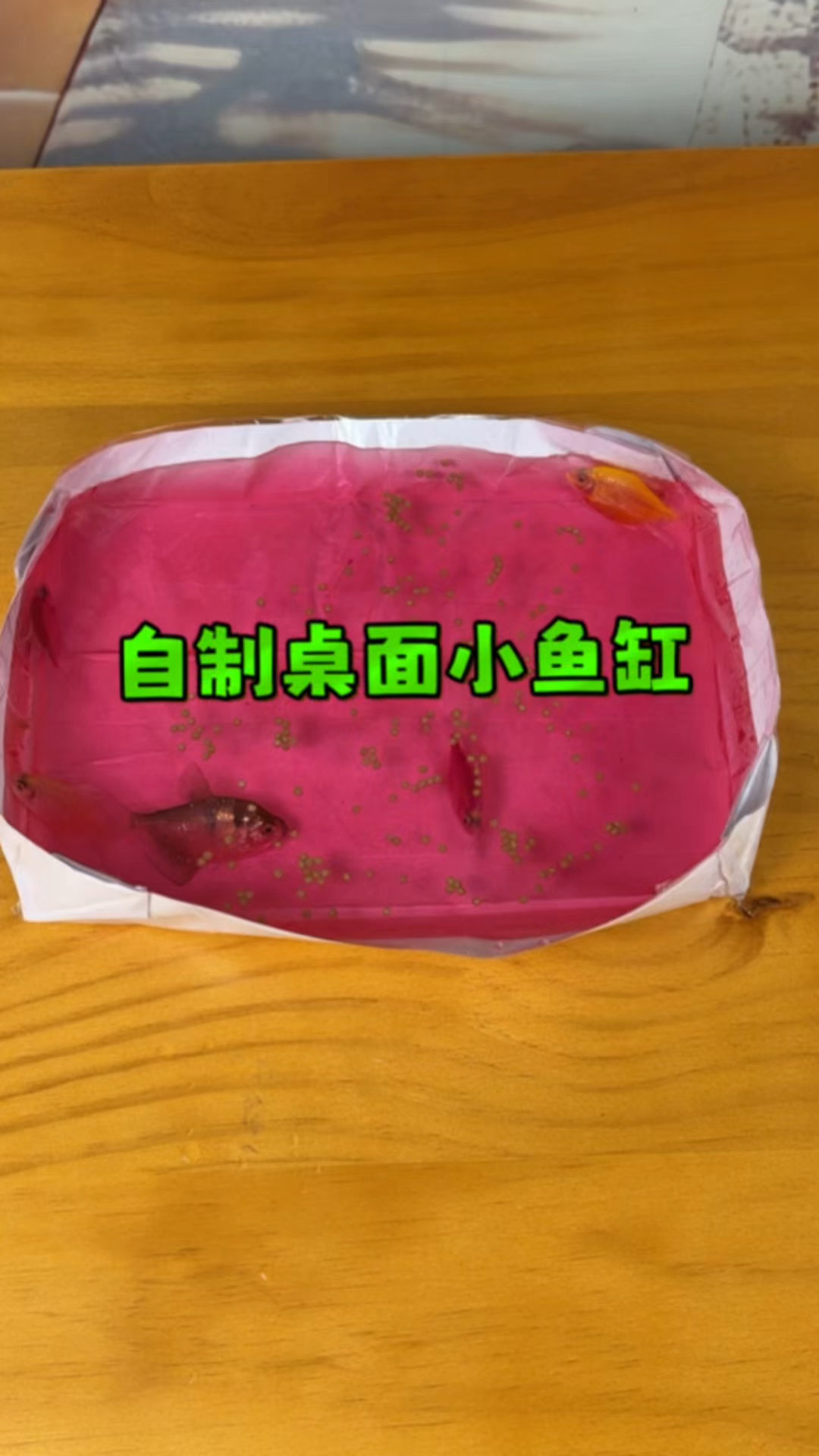 手工：用作业白纸制作桌面小鱼缸，实用又占地小！