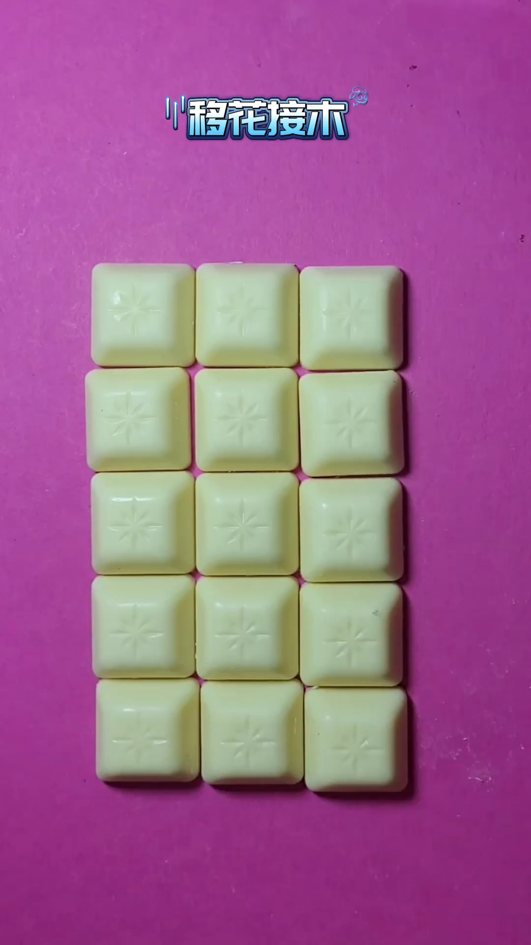 国外的牛人男子,把巧克力移花接木