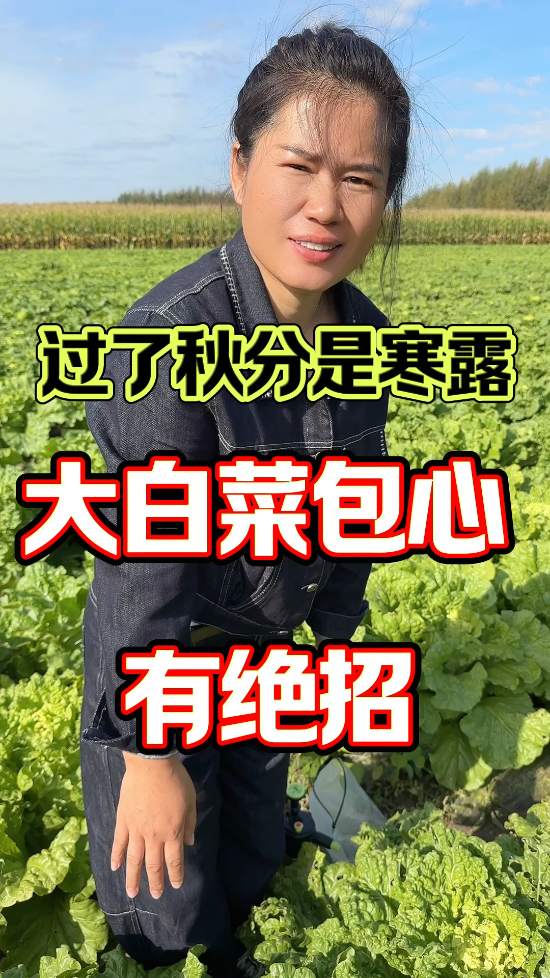 大白菜包心有绝招