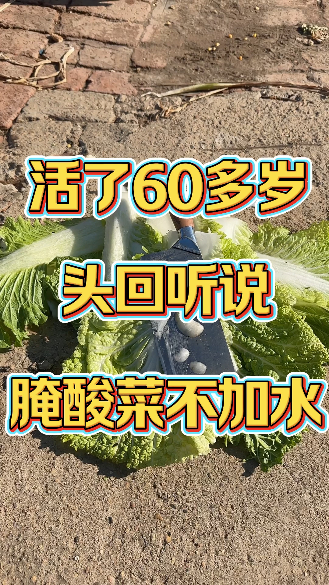 腌酸菜不加水不烂不坏
