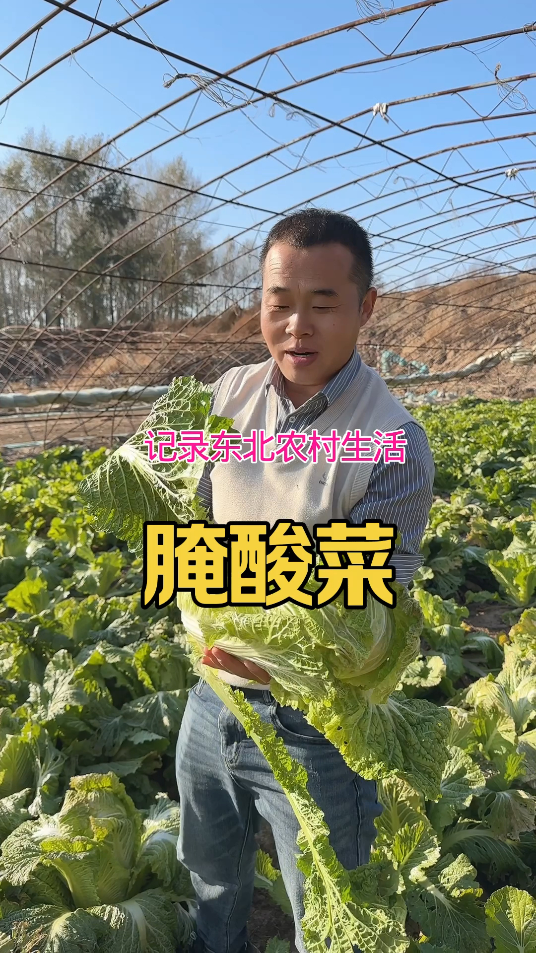 东北农村生活腌酸菜