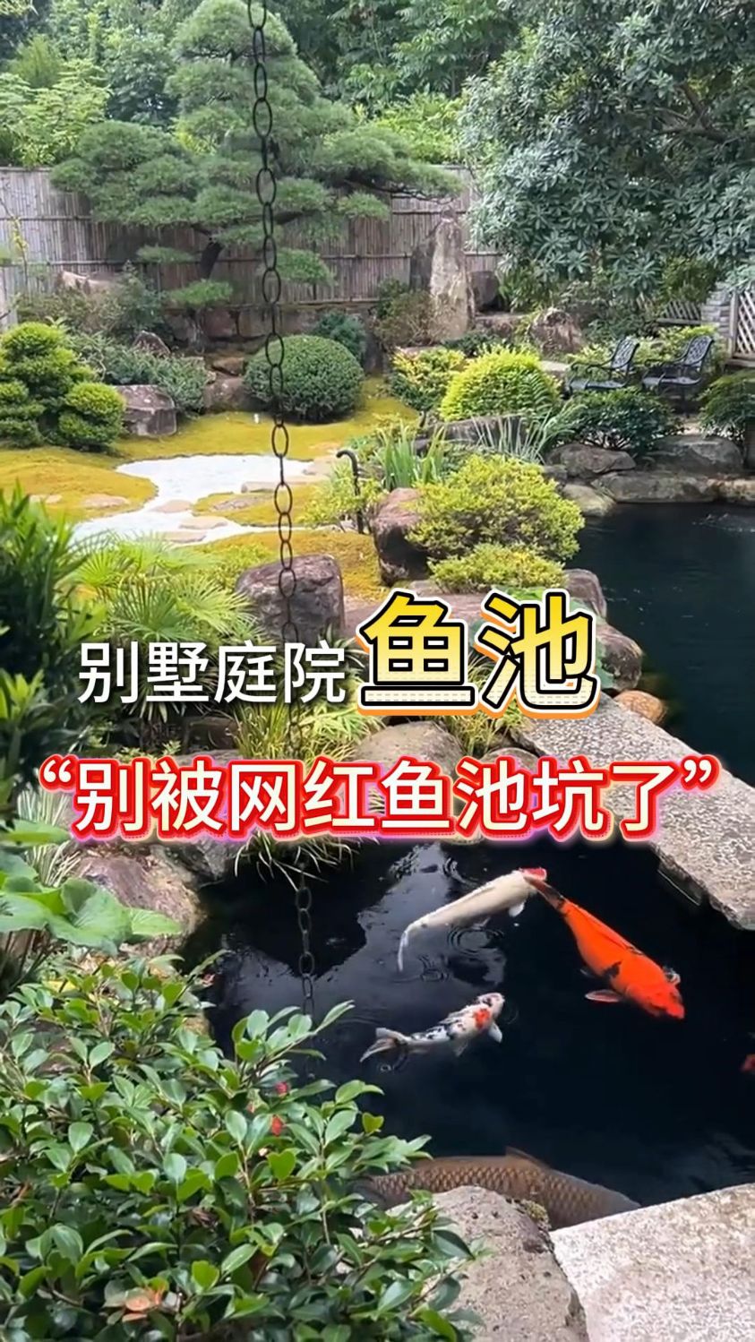 青岛庭院设计鱼池避坑案例