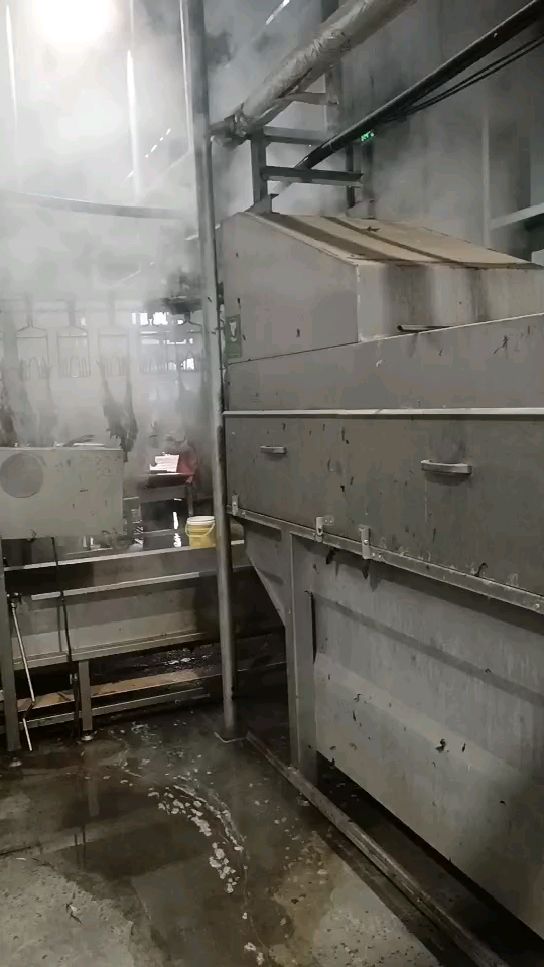 正顺中小型家禽屠宰流水线 鸡鸭鹅烫池 鸡鸭鹅鹌鹑鸽子宰杀机器
