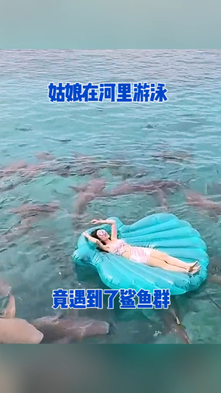 姑娘在河里游泳，竟遇到鲨鱼群。