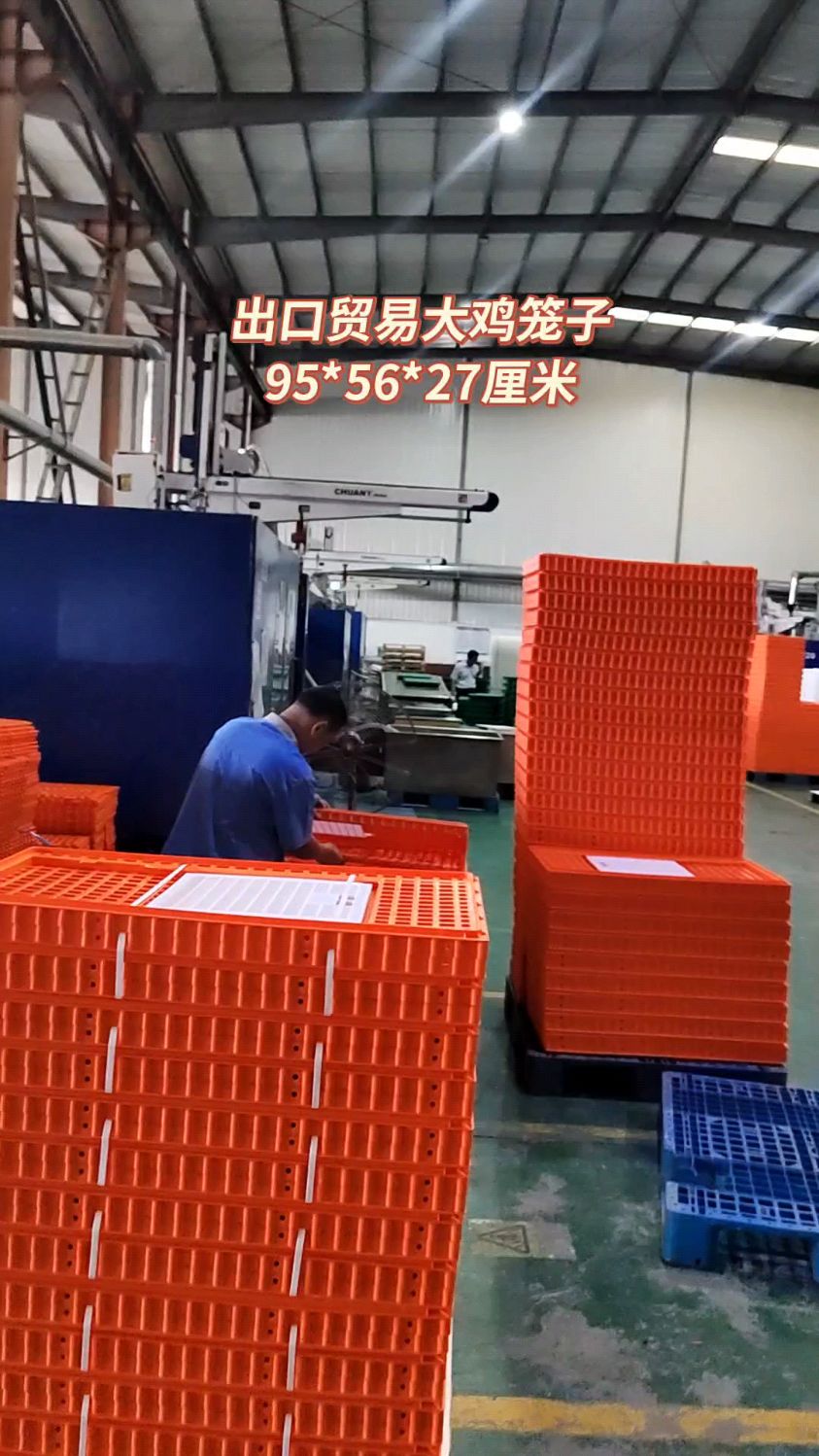 出口贸易大成鸡运输笼95*56*27厘米