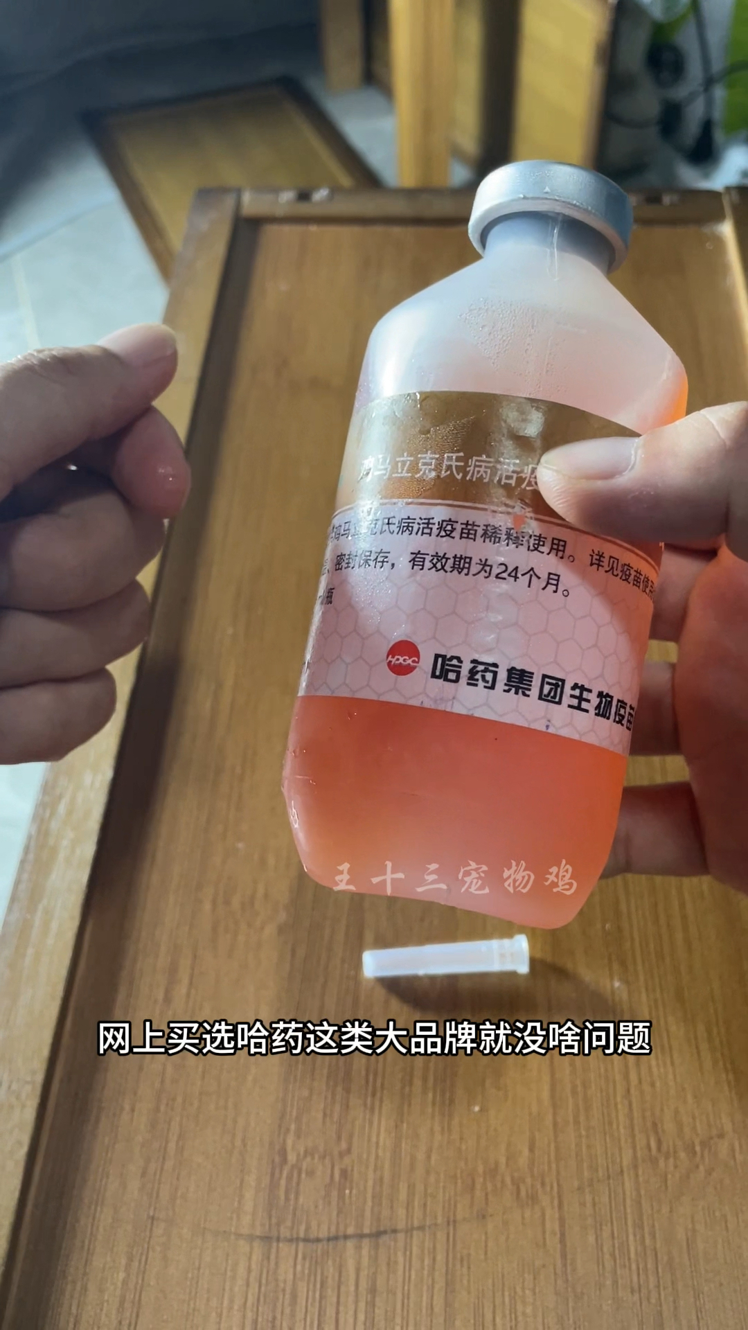 小鸡疫苗别瞎买!认准大品牌,出壳就安排马力克疫苗#养鸡