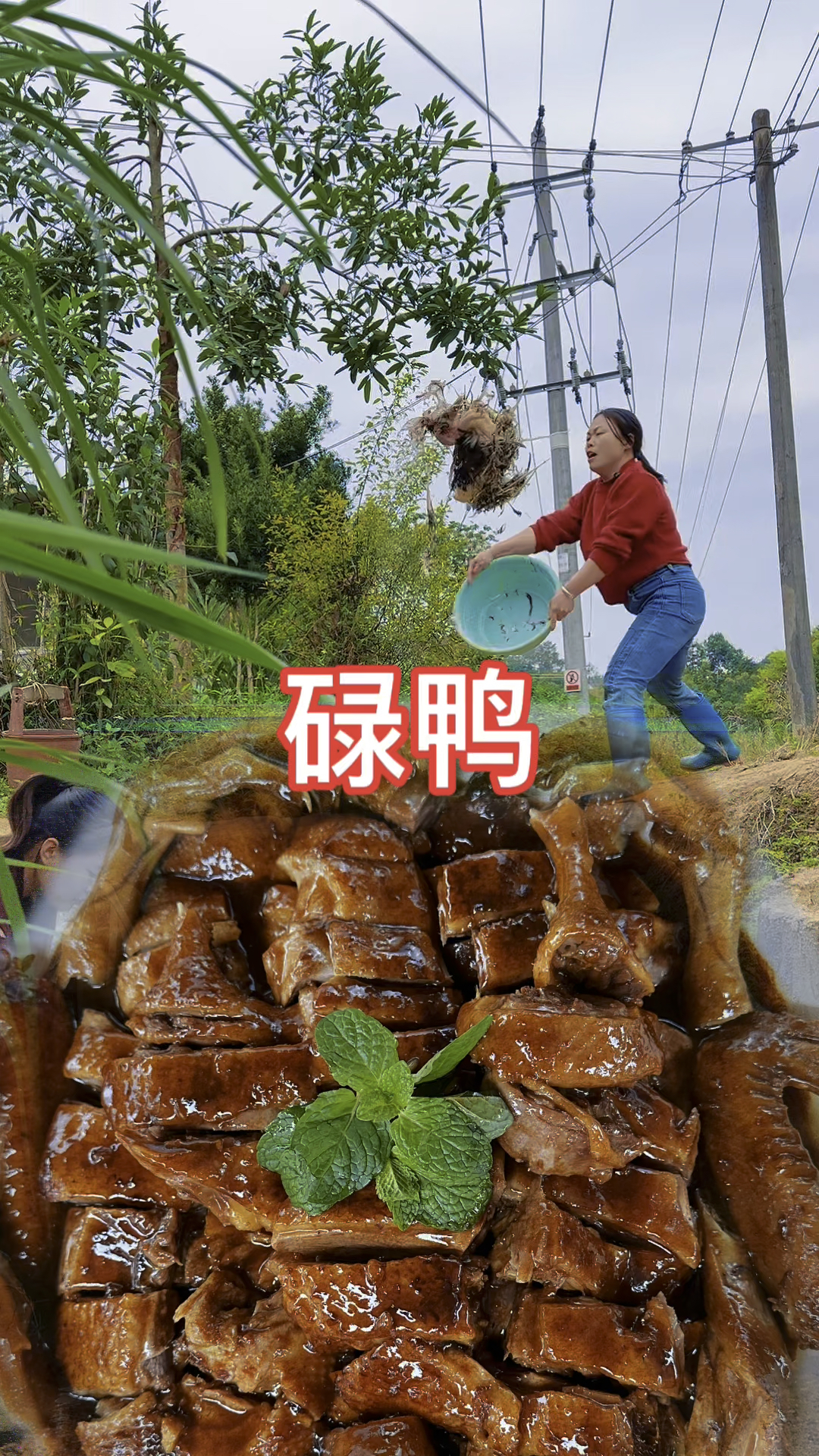 想不到鸭子这样做那么好吃!