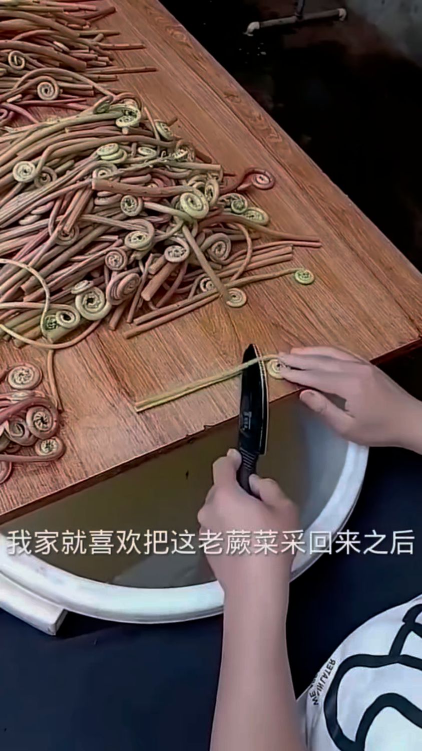 老蕨菜採回来之后晾干了炒肉老好吃了