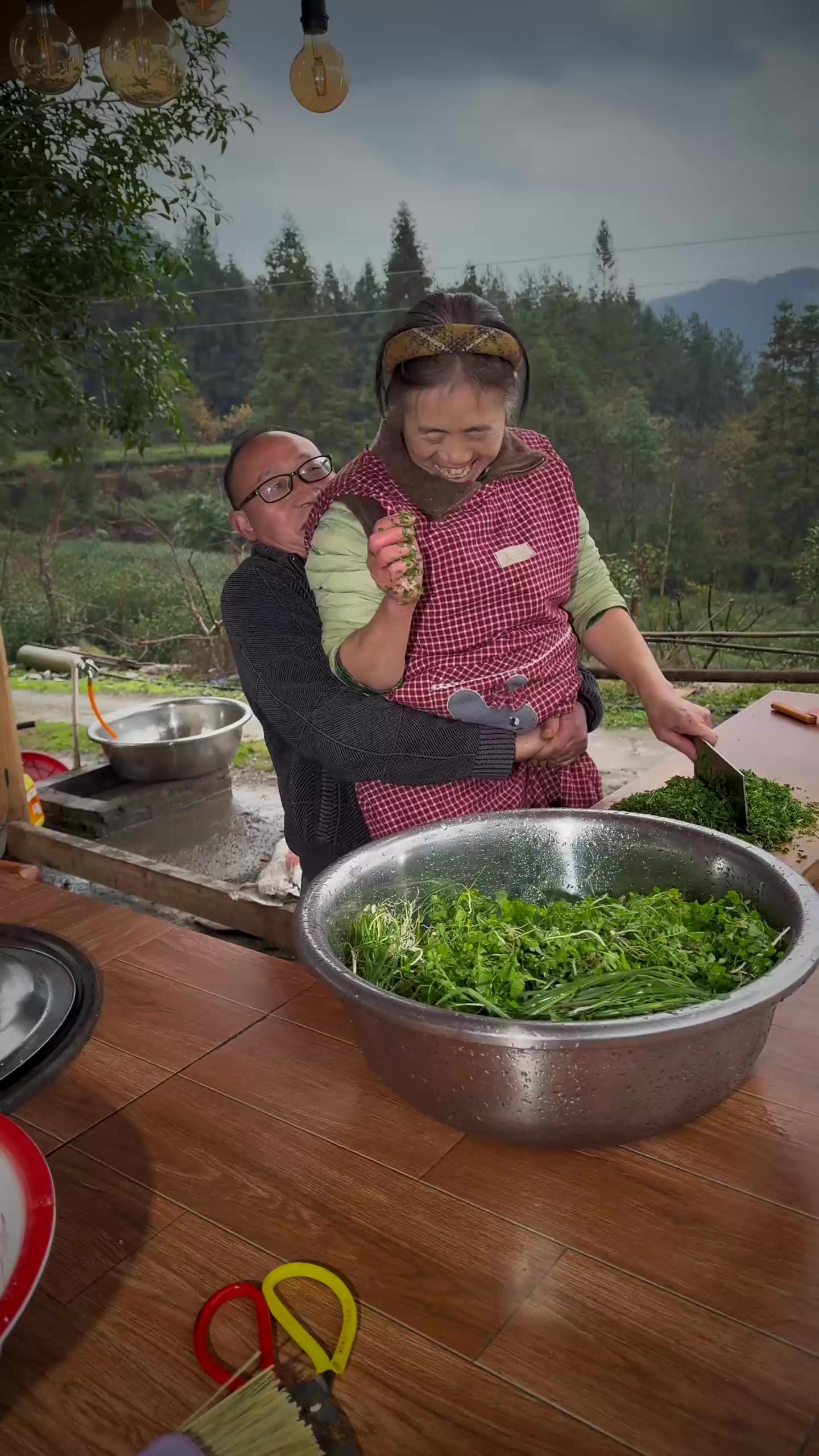 我们今天挖了雀雀菜 做了雀雀菜包面和雀雀菜面窝