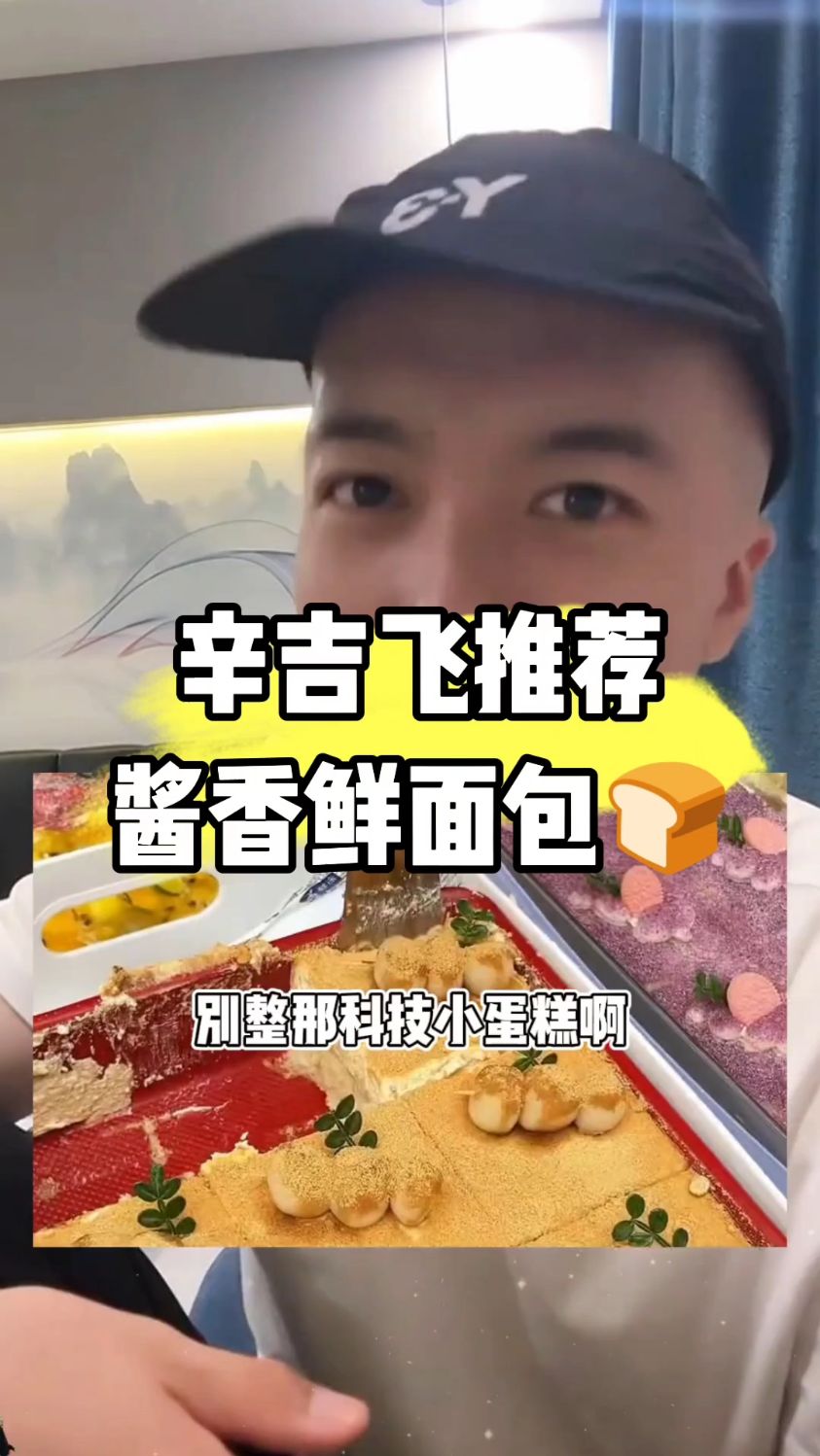 辛吉飞谈别吃那些科技蛋糕,吃点健康的,大人小孩都可以吃