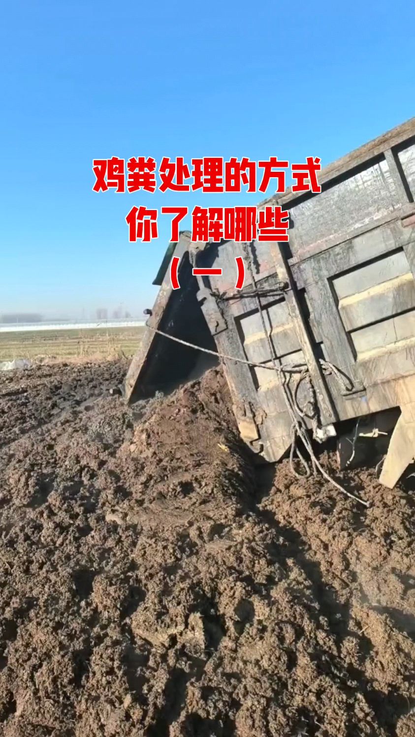鸡粪处理难选对设备是关键
