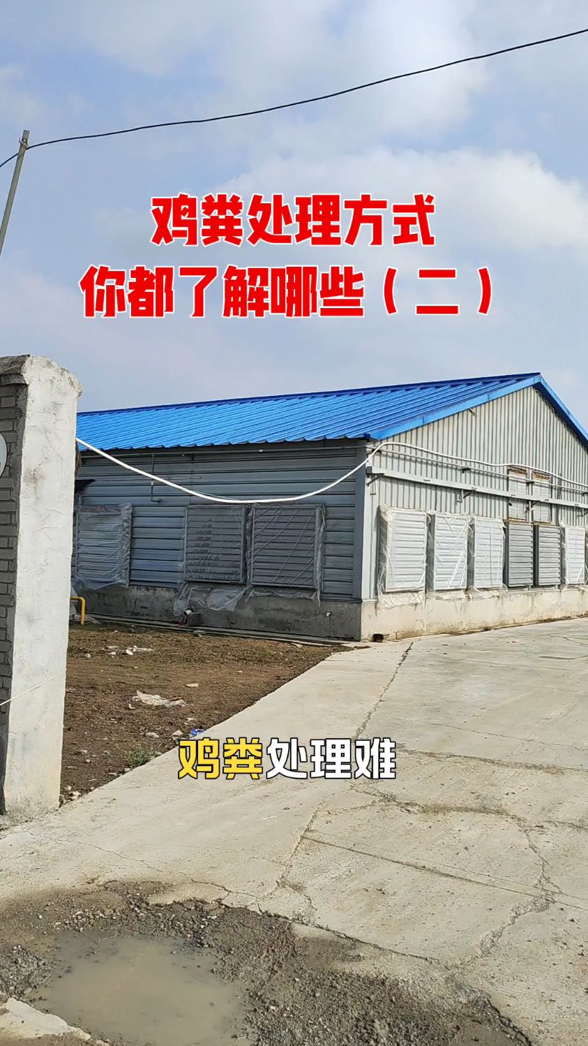 鸡粪处理烘干设备