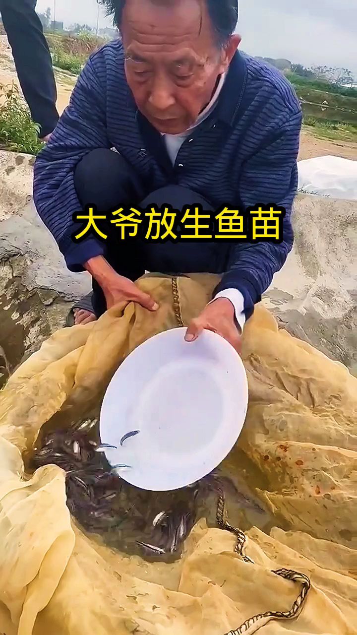 大爷放生鱼苗,都是成双成对!