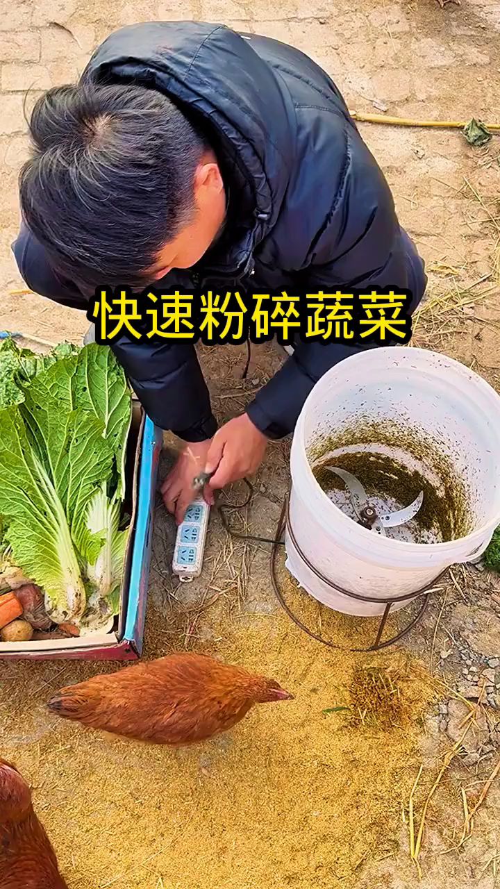 快速粉碎蔬菜,机器真是太方便了!