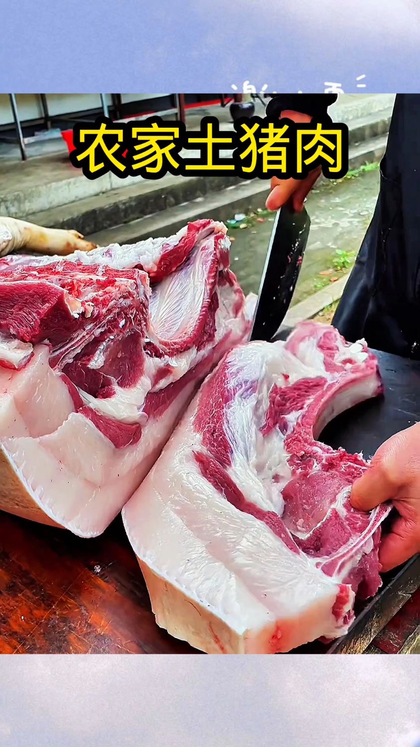 农家土猪肉,肉质晶莹剔透!