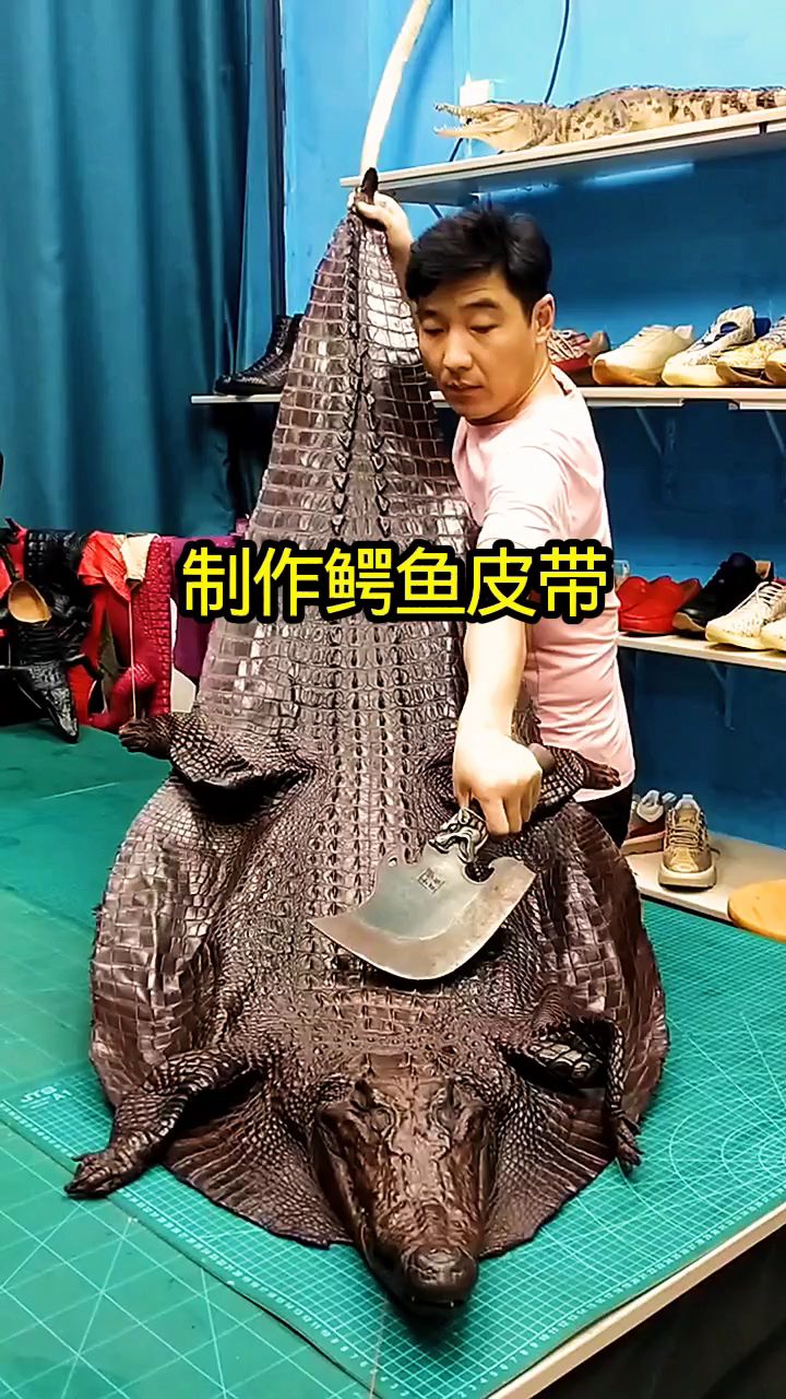 制作鳄鱼皮带,真是长见识了!