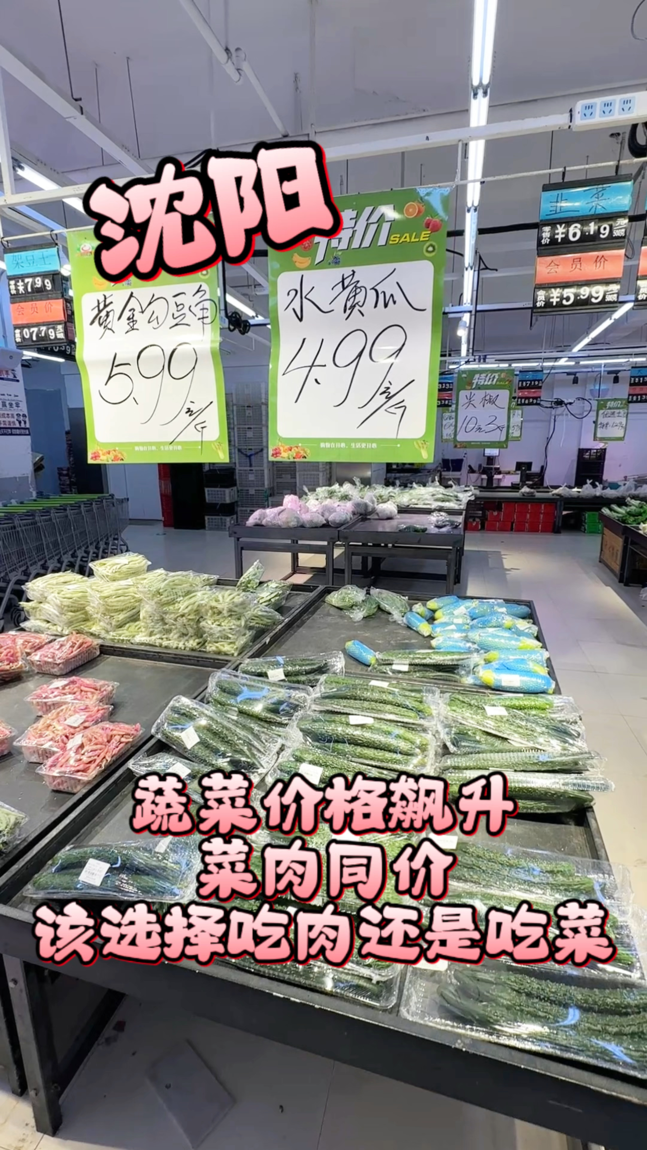 沈阳蔬菜价格飙升致菜肉同价，该选择吃菜还是吃肉