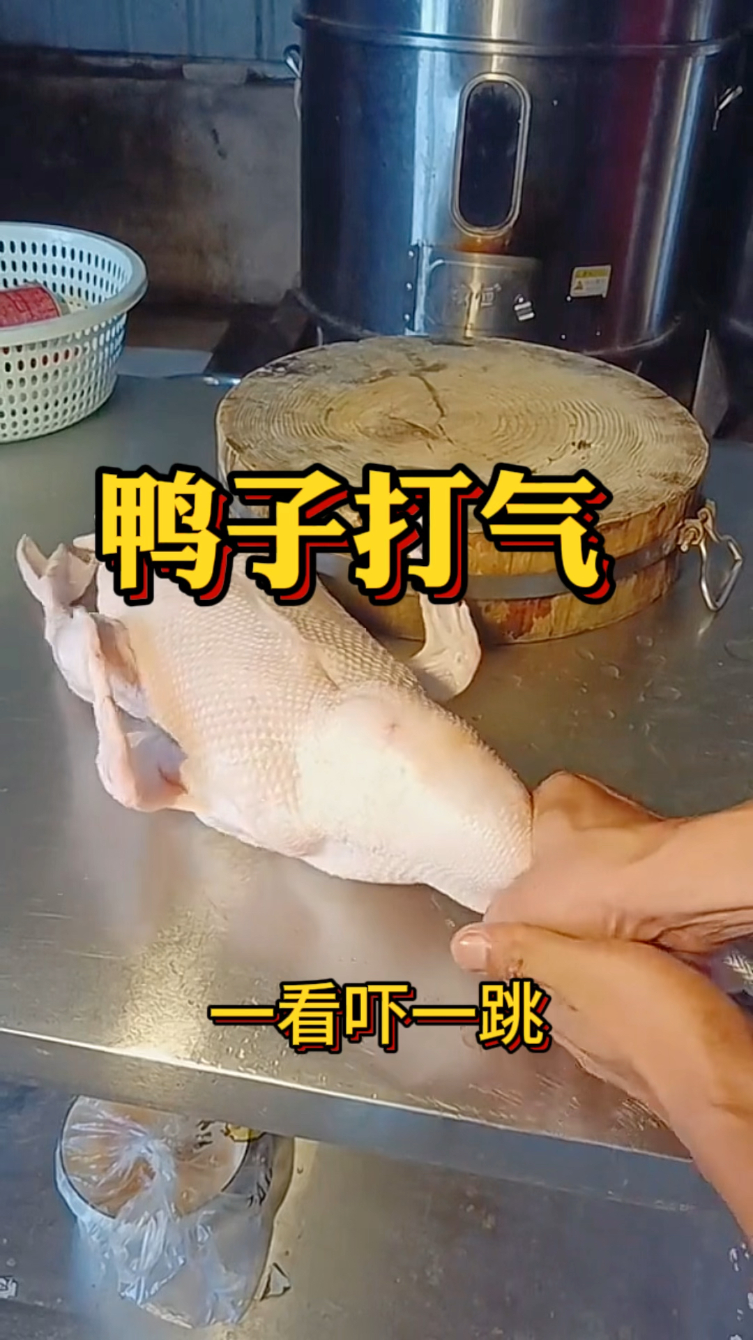 鸭子打气，瞬间鸭子变大了一倍
