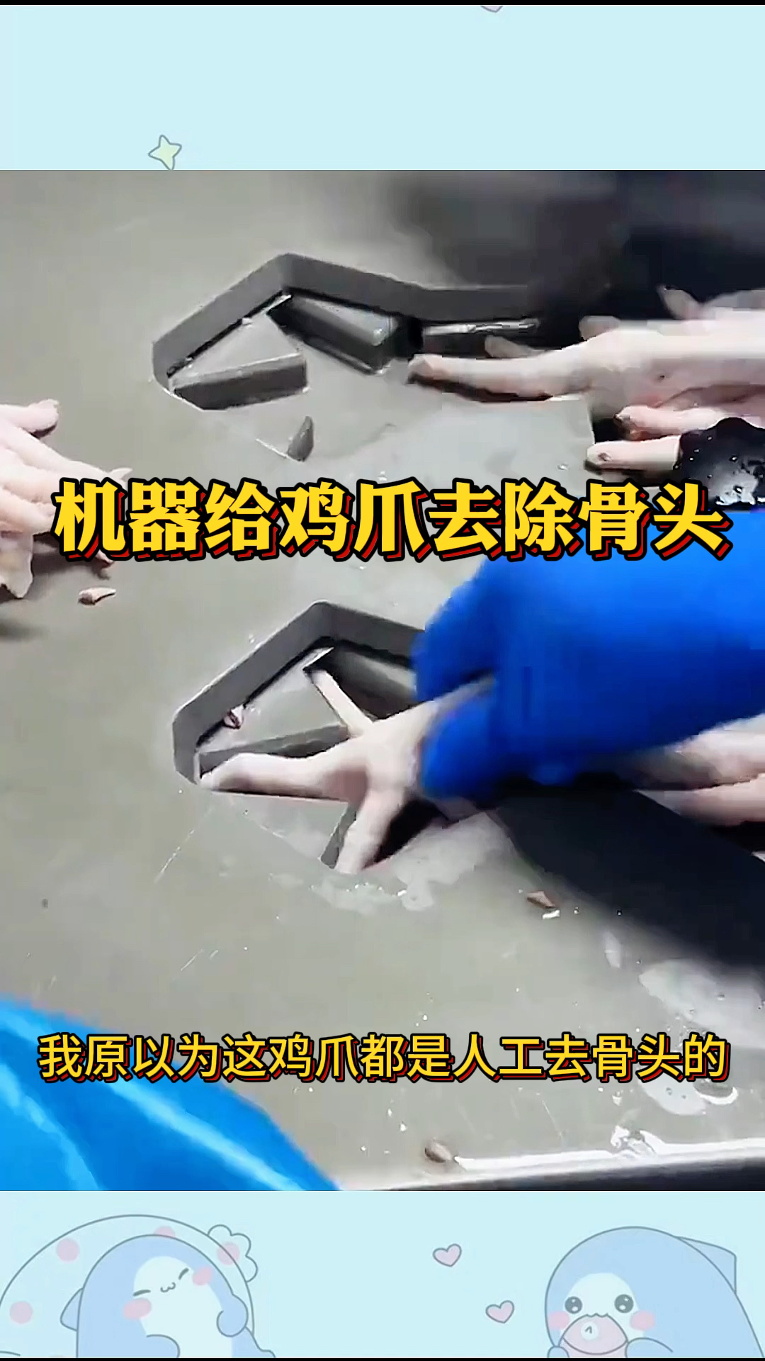 机器给鸡爪去除骨头,省时又省力