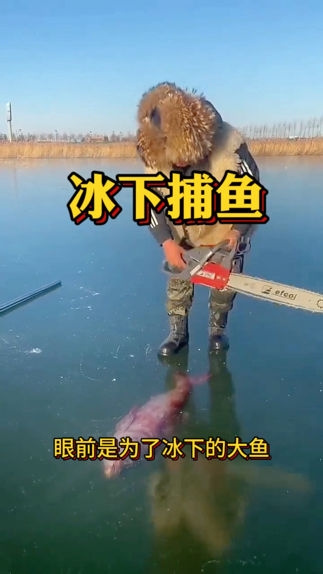 冰下捕鱼,居然是用这样的方式来完成的