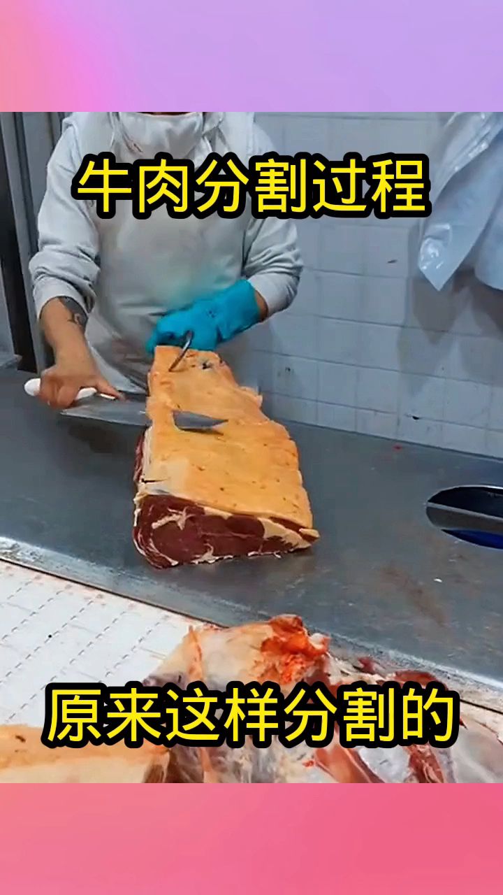 牛肉分割过程,原来这样分割的!