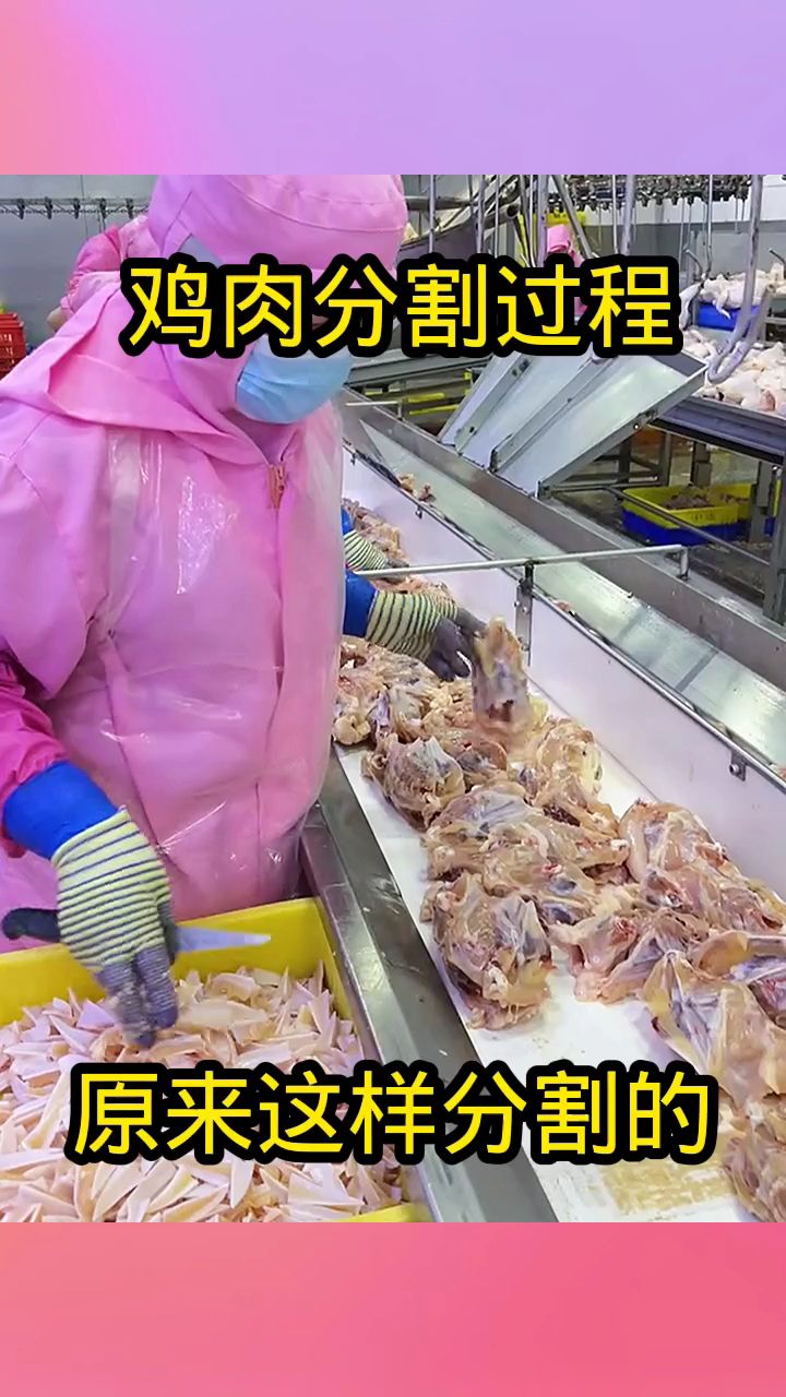鸡肉分割过程，原来这样分割的！
