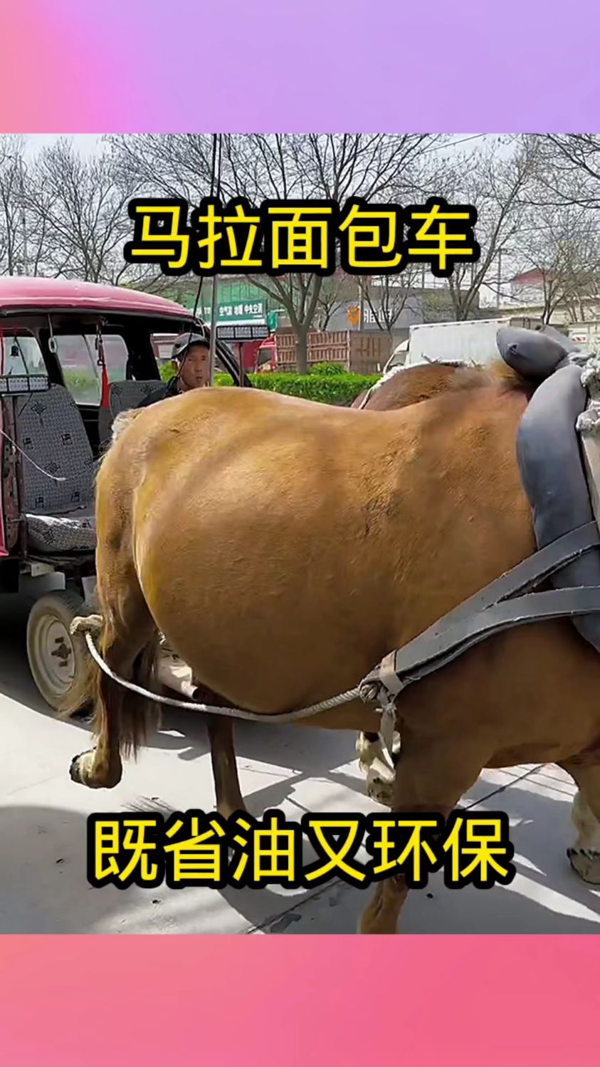 改装的面包车,既省油又环保!