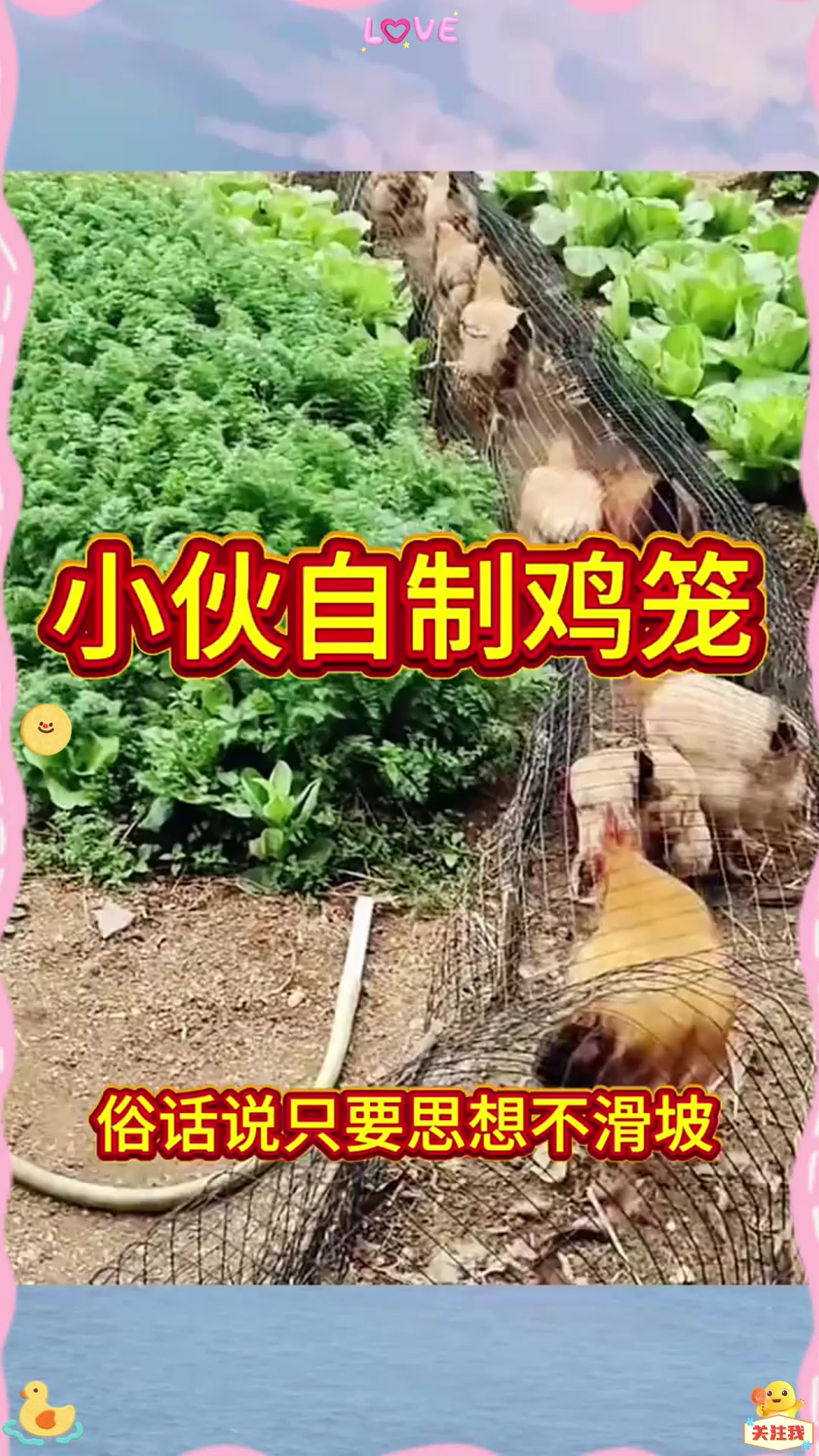 小伙自制鸡笼，果然是一个人才