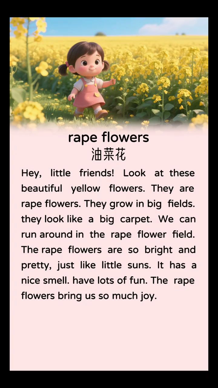 [每日英语短文听读]油菜花